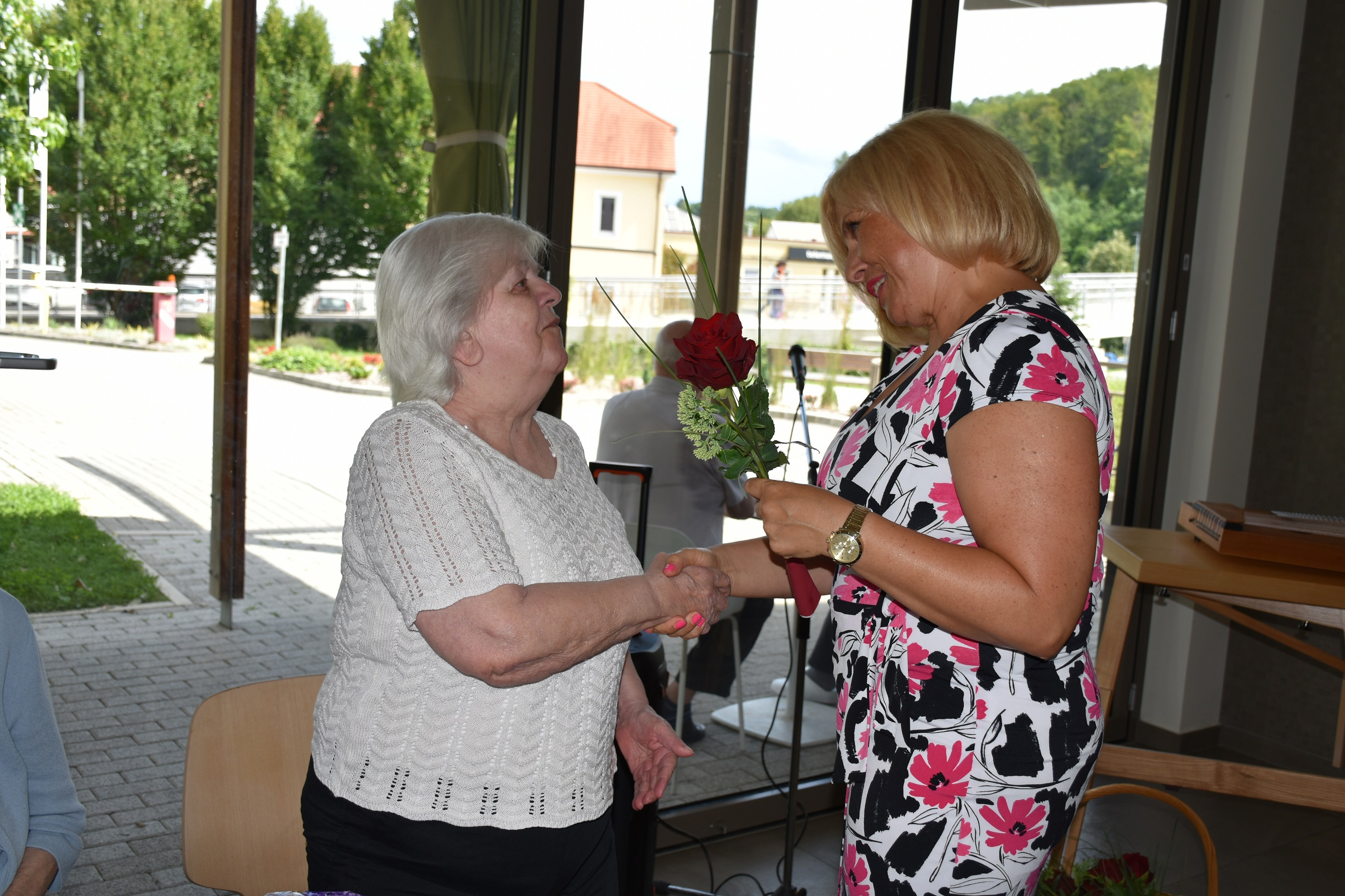 Anino v Pegazovem domu