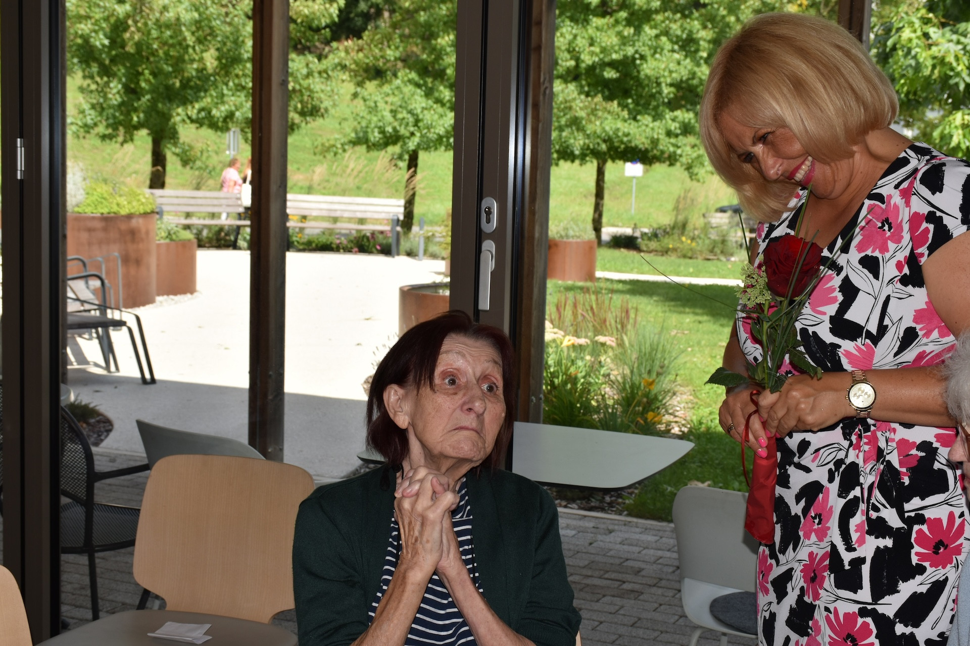 Anino v Pegazovem domu