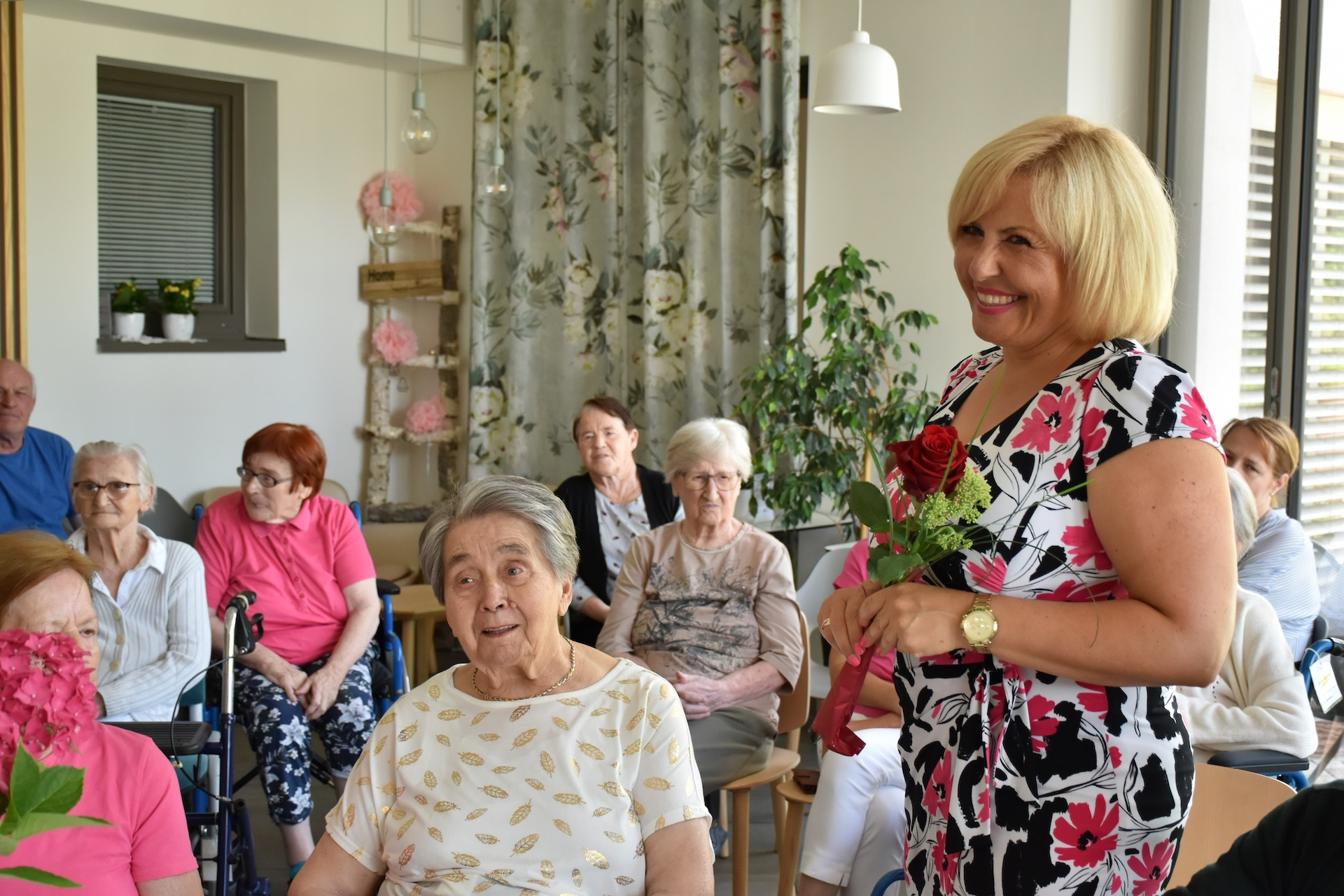 Anino v Pegazovem domu