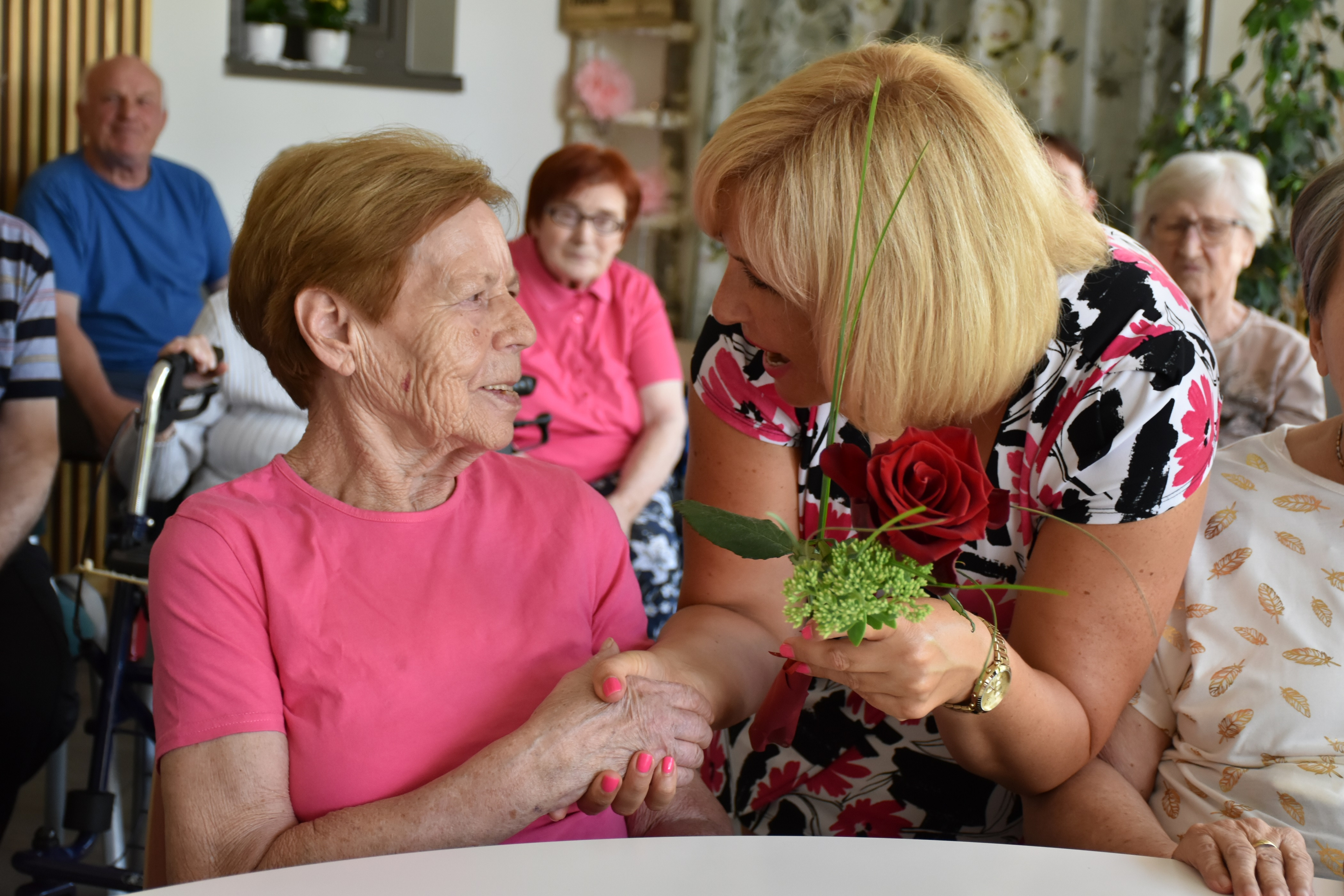 Anino v Pegazovem domu