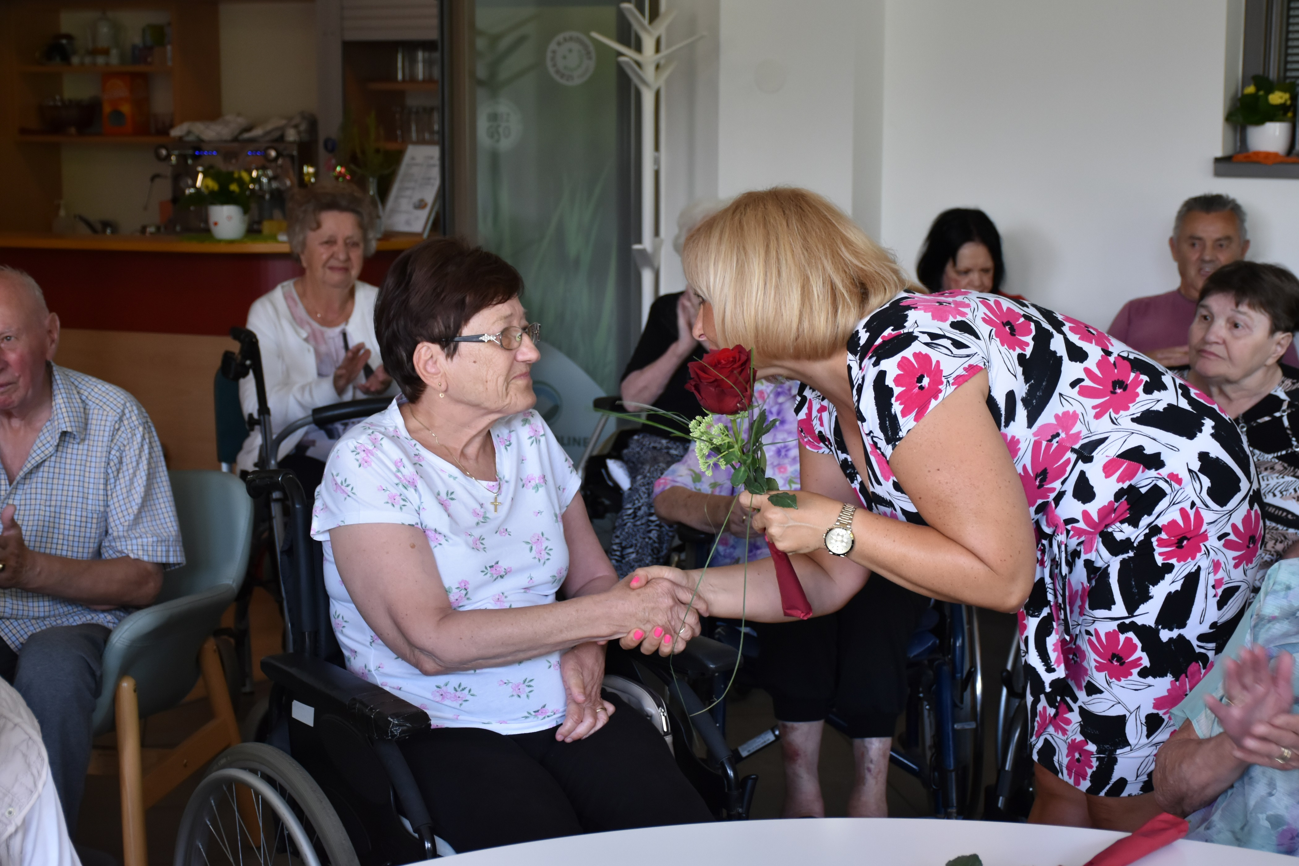 Anino v Pegazovem domu