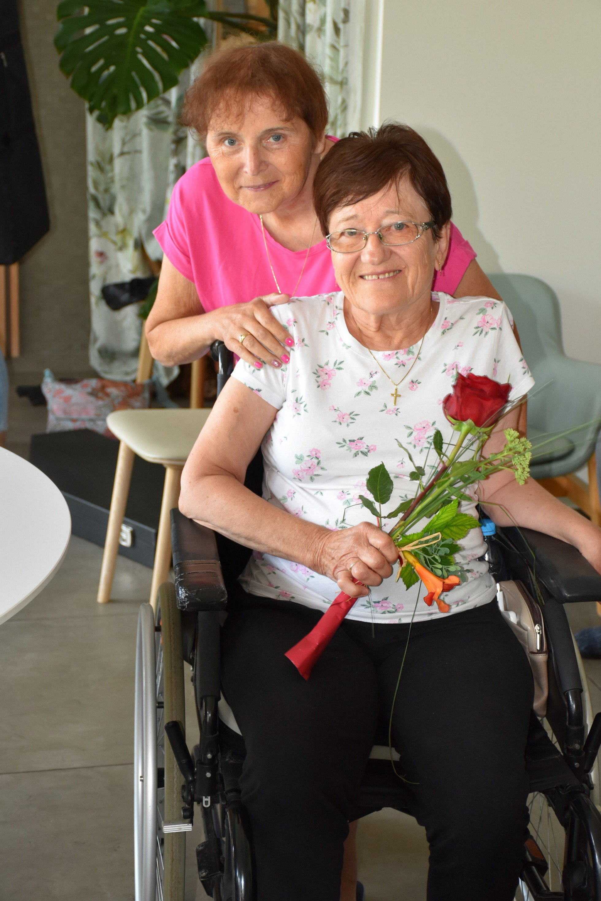 Anino v Pegazovem domu