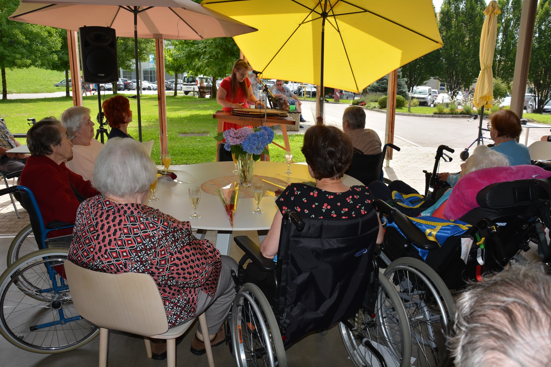 Anino v Pegazovem domu