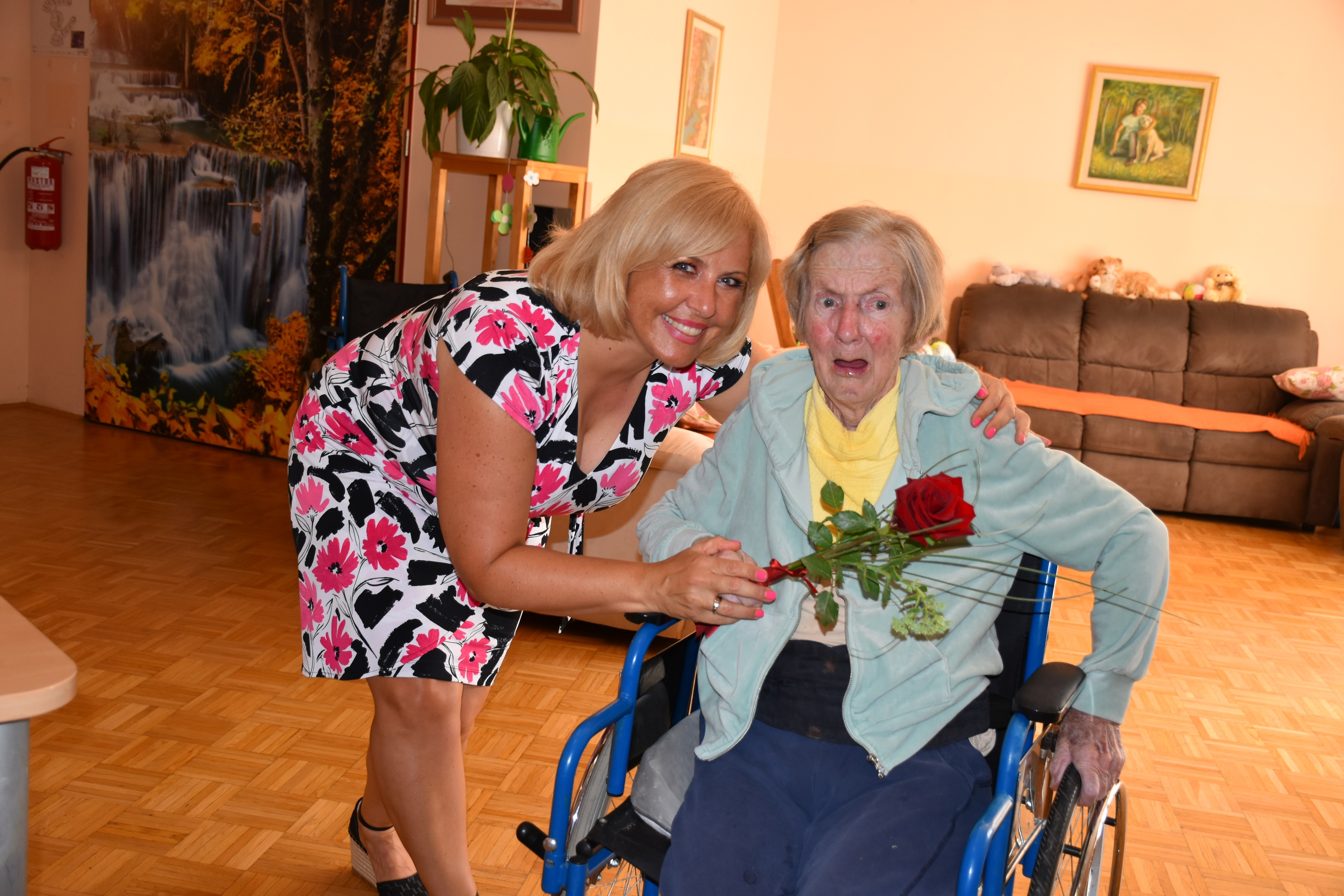 Anino v Pegazovem domu