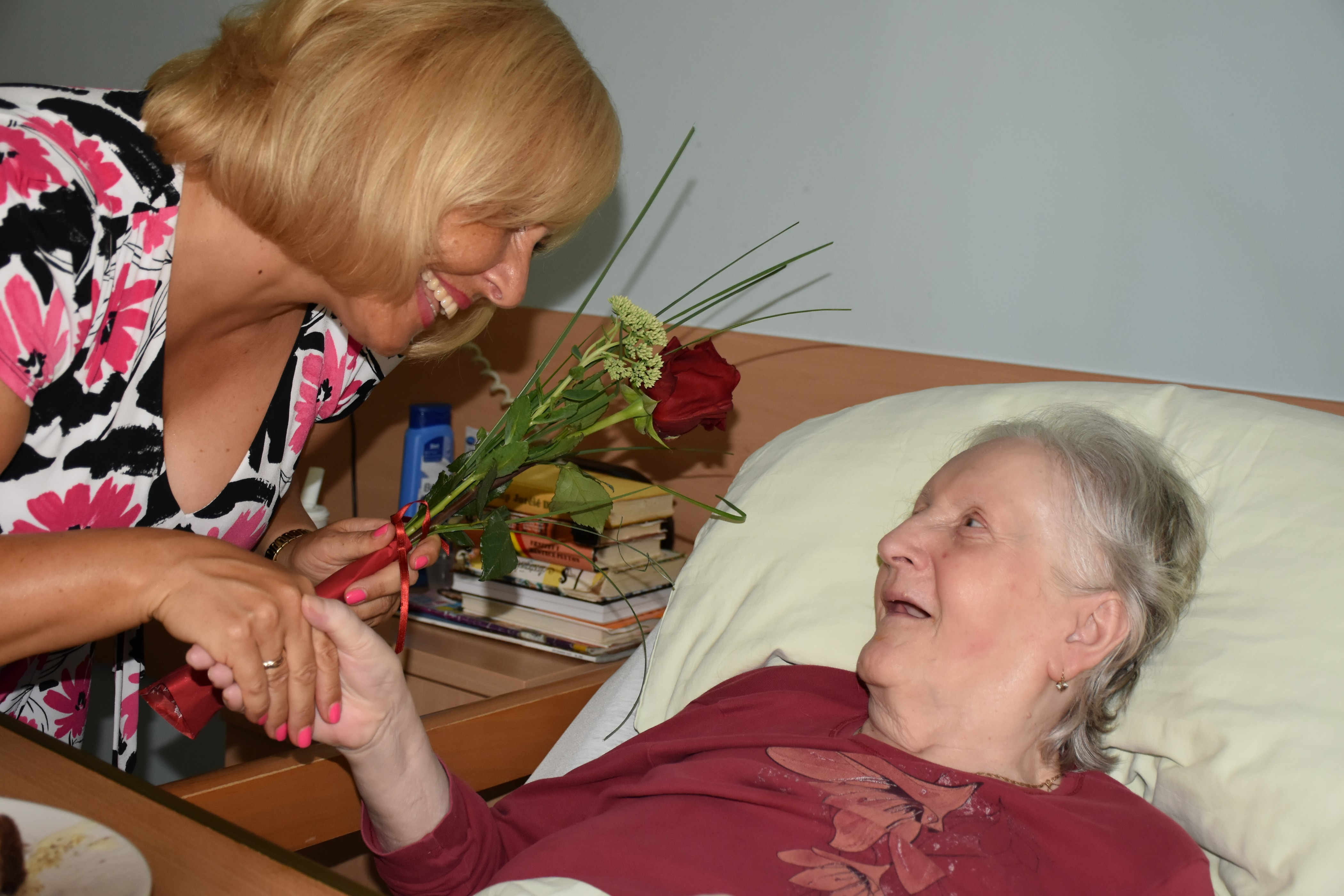 Anino v Pegazovem domu