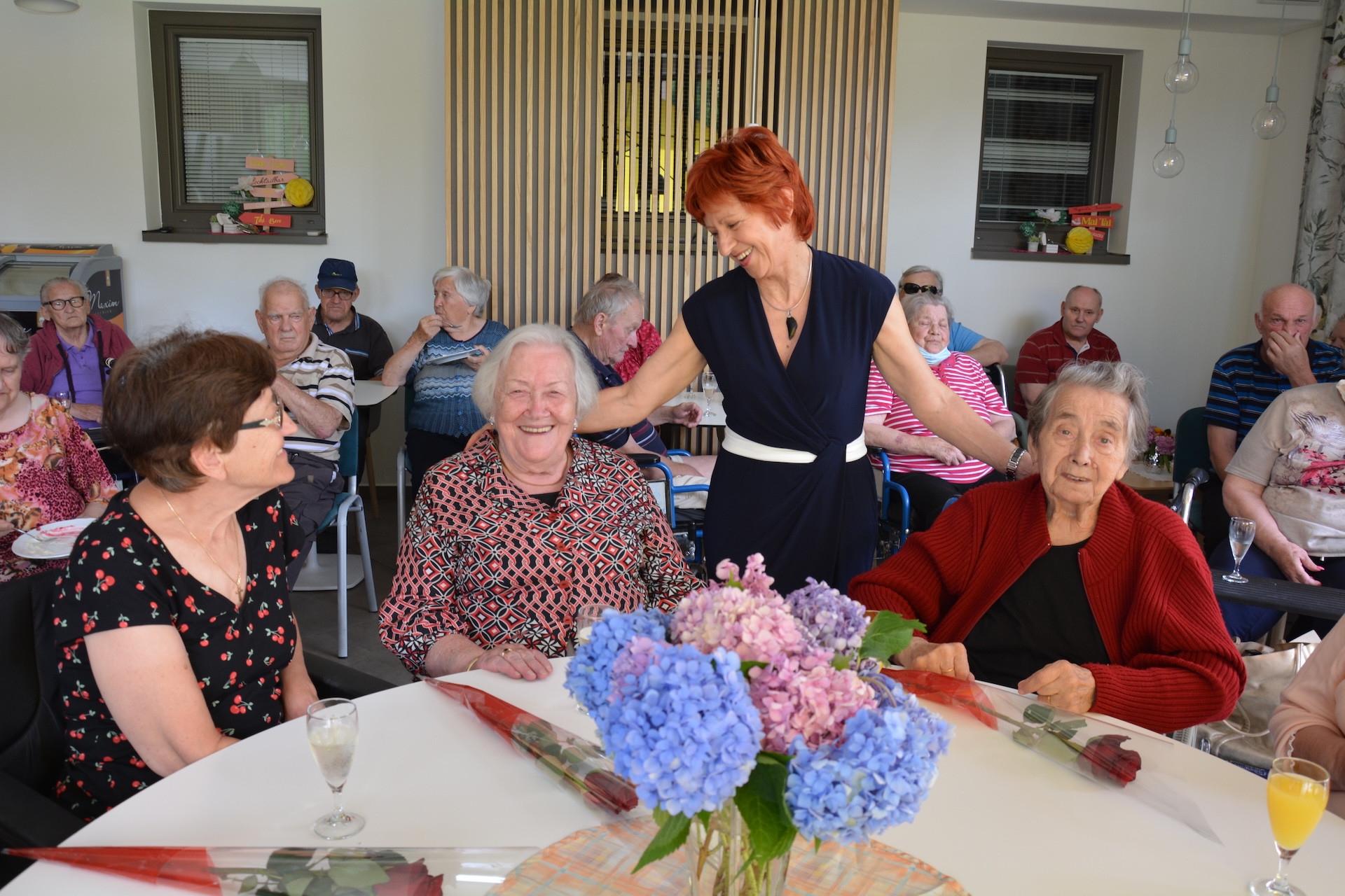 Anino v Pegazovem domu