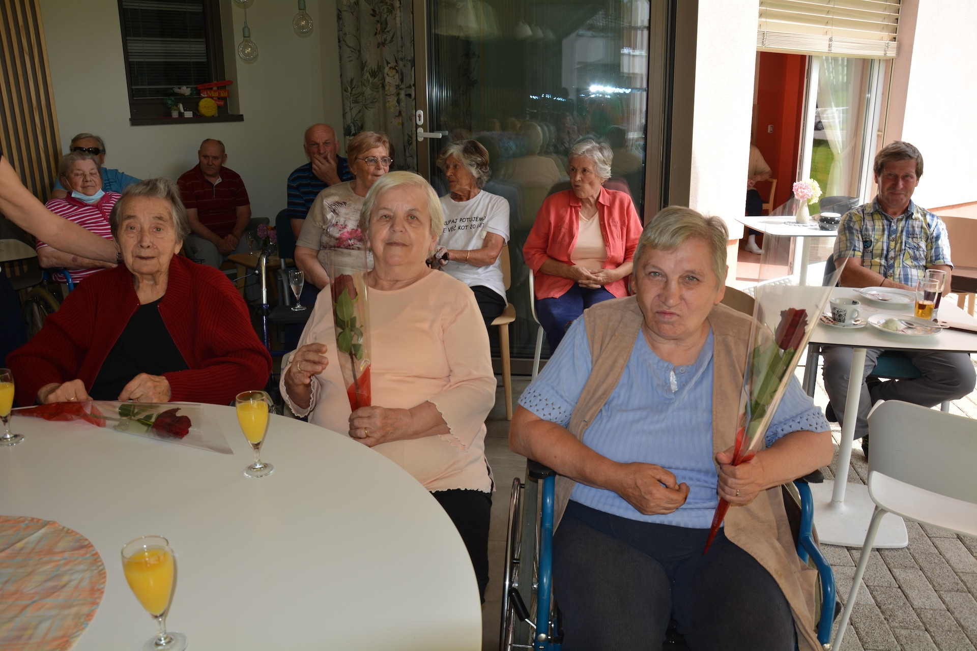 Anino v Pegazovem domu