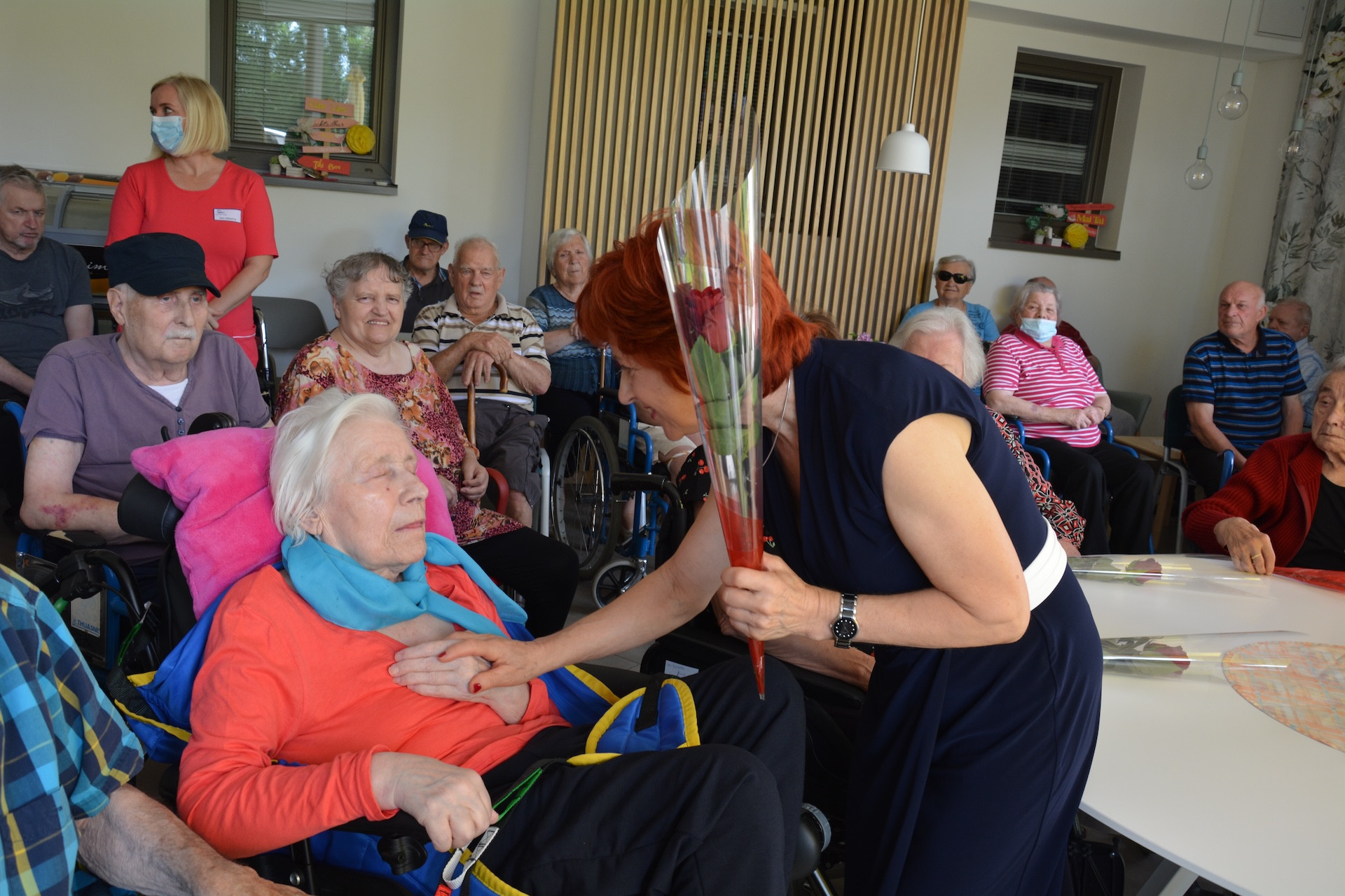 Anino v Pegazovem domu