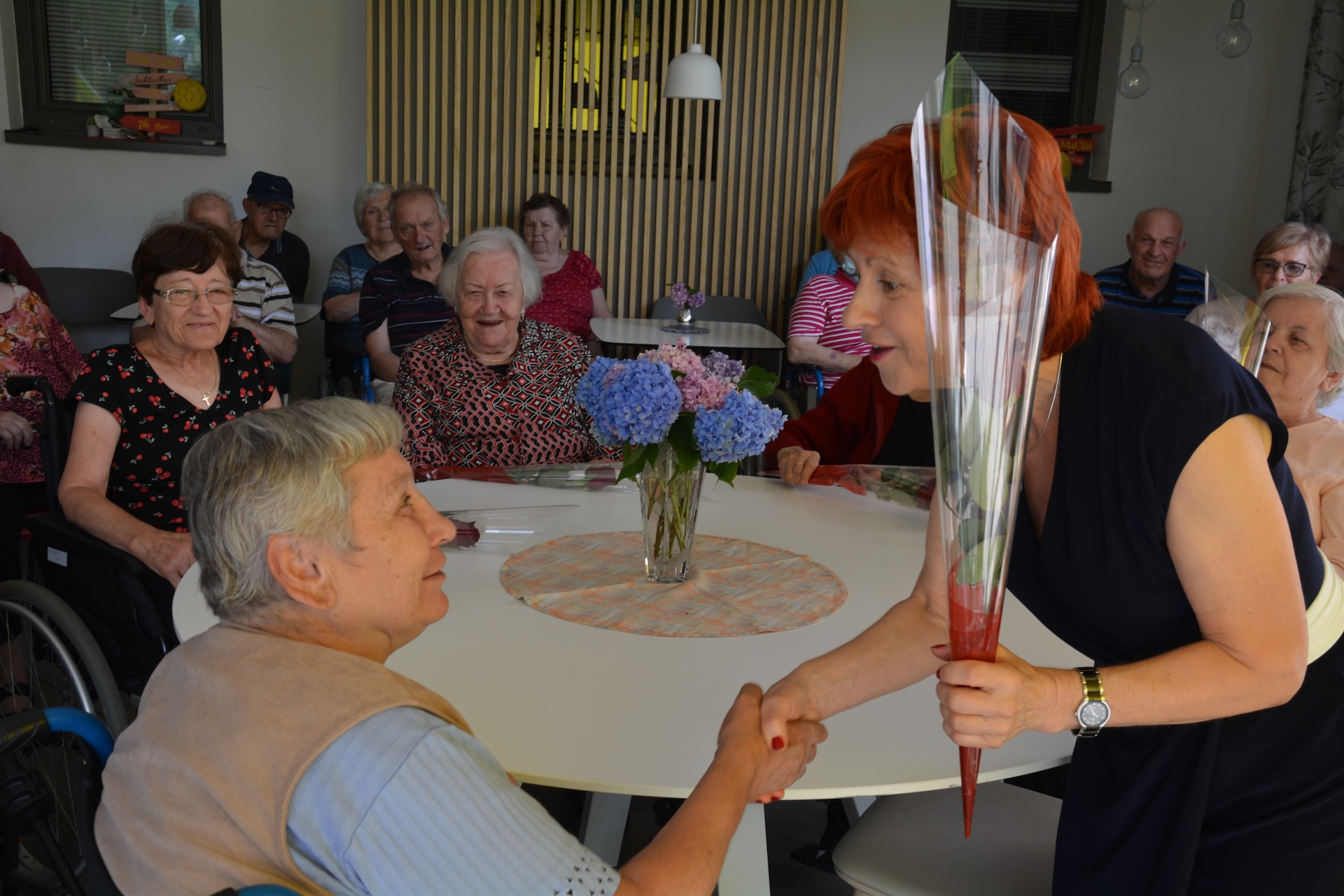 Anino v Pegazovem domu