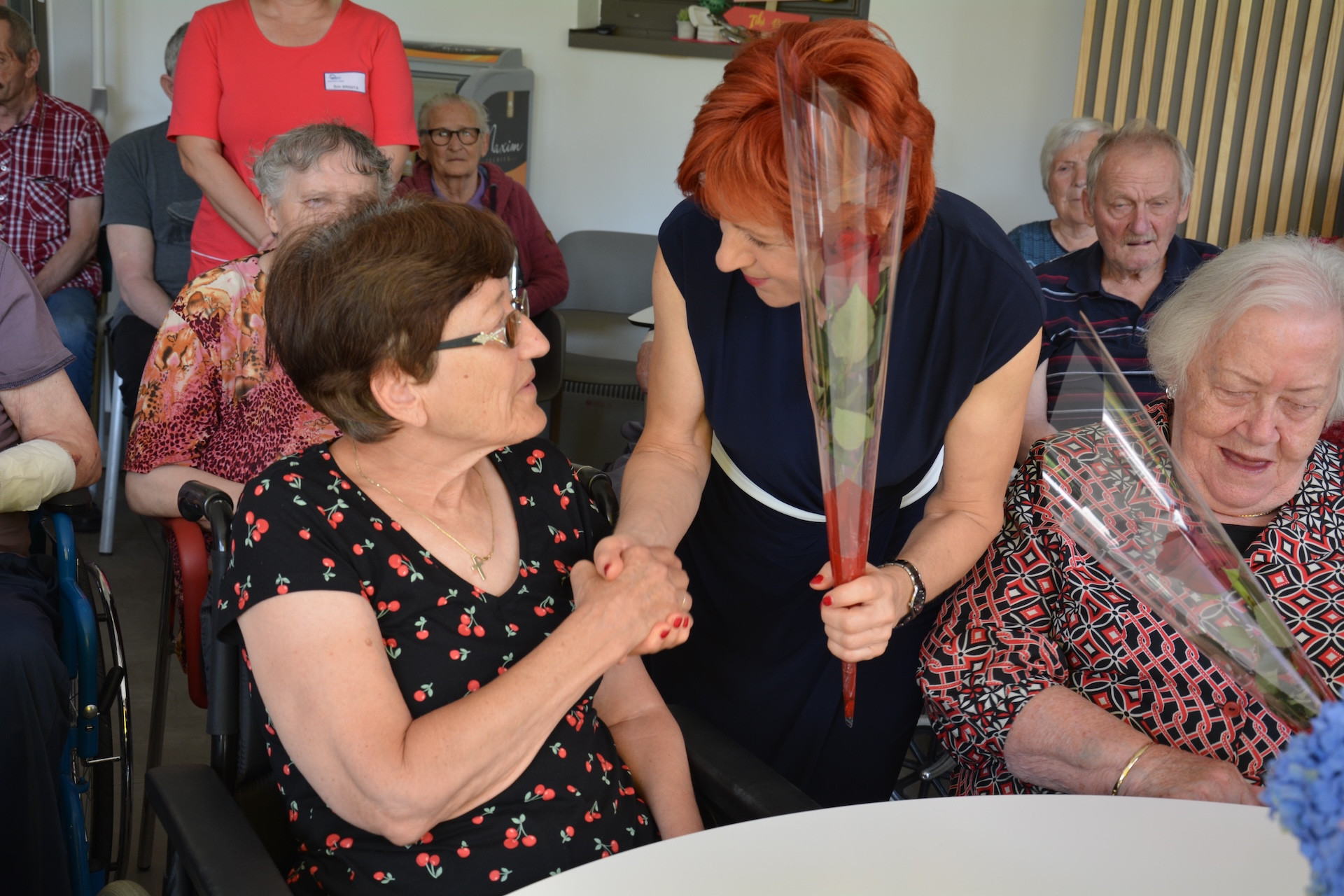 Anino v Pegazovem domu