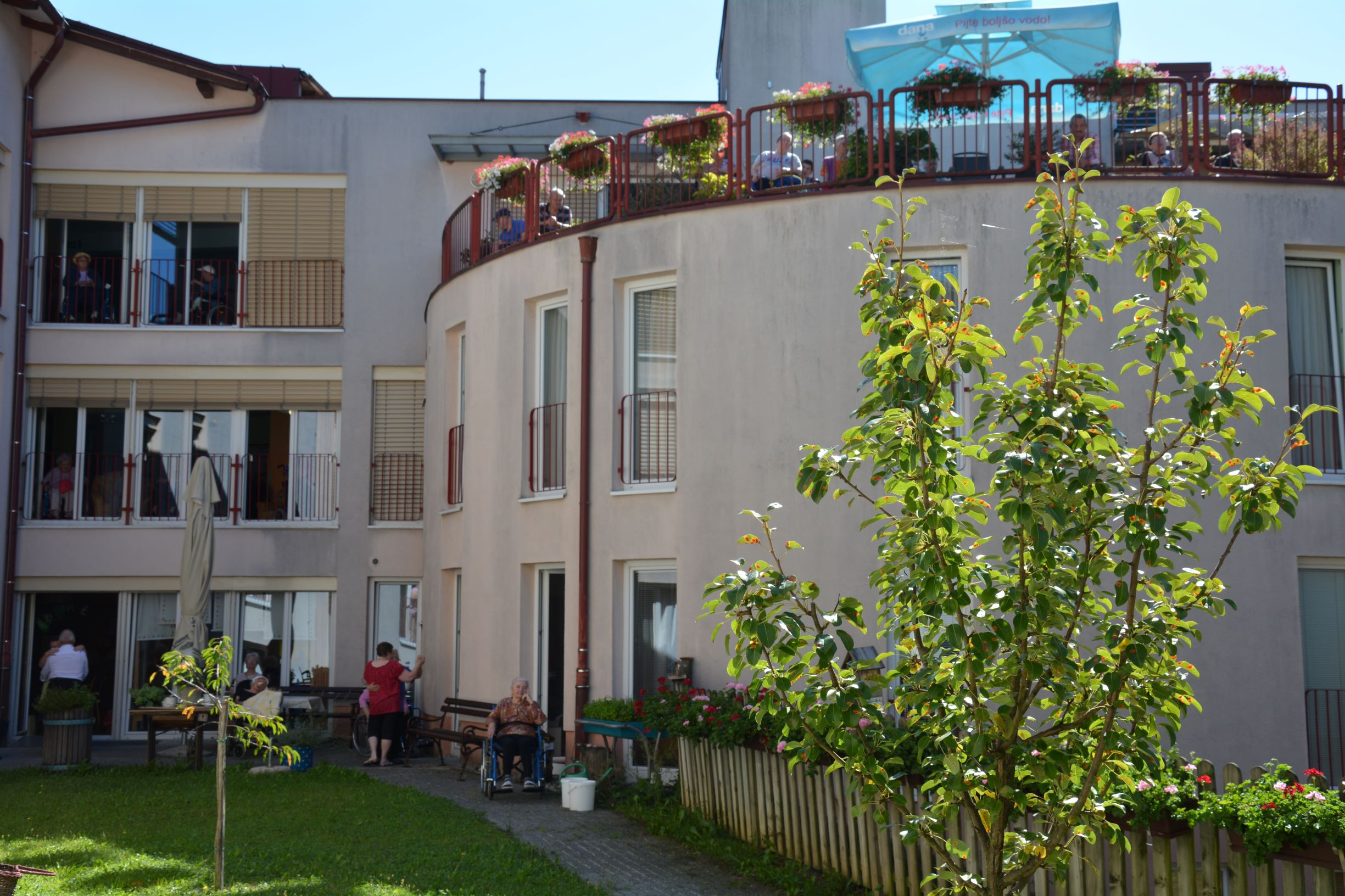 Avgust v Pegazovem domu