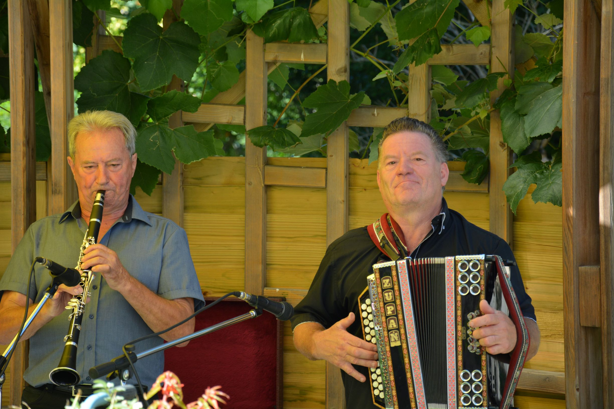 Avgust v Pegazovem domu