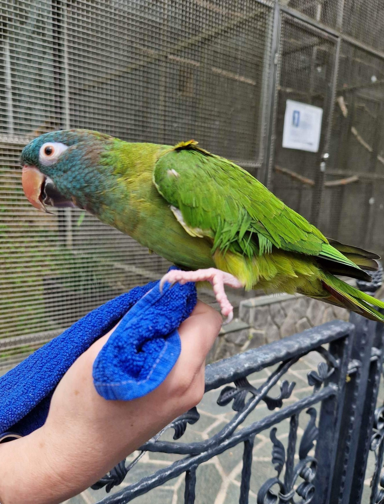 „Bil je res lep izlet“