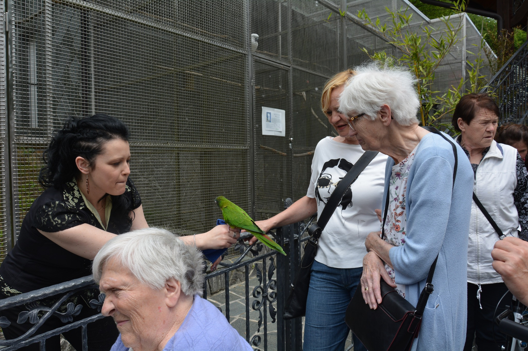 „Bil je res lep izlet“