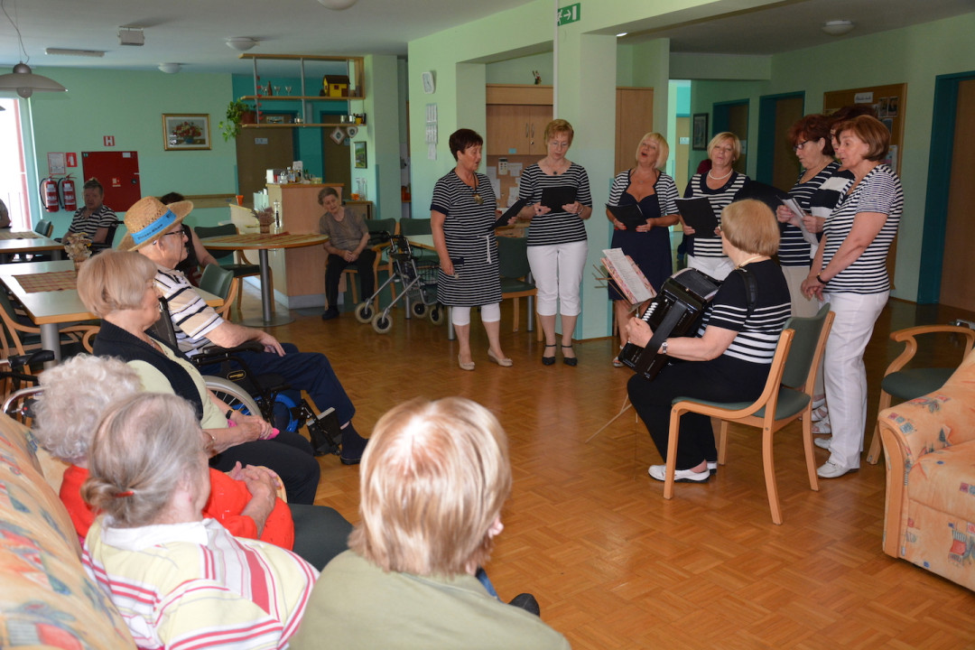 Dalmacija v Pegazovem domu