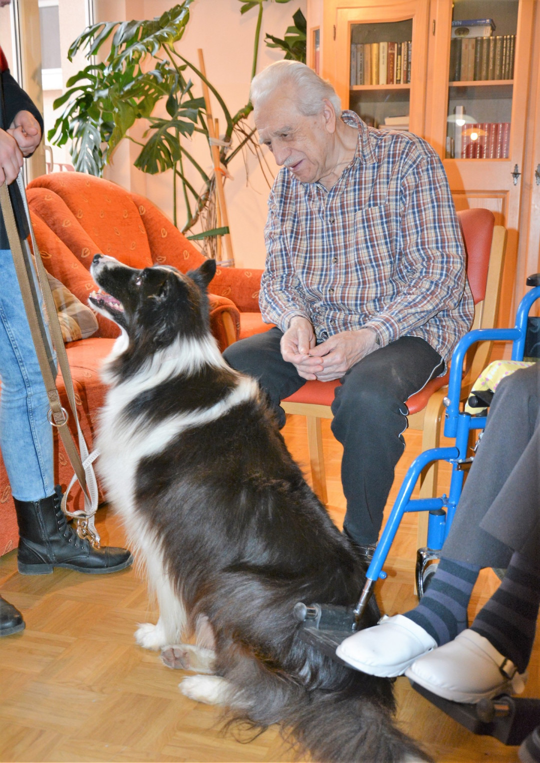 Dotik Sunnya vzbuja pozitivne občutke