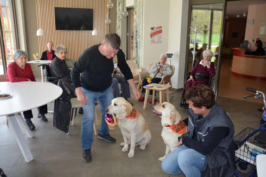 Društvo za zaščito živali Veles