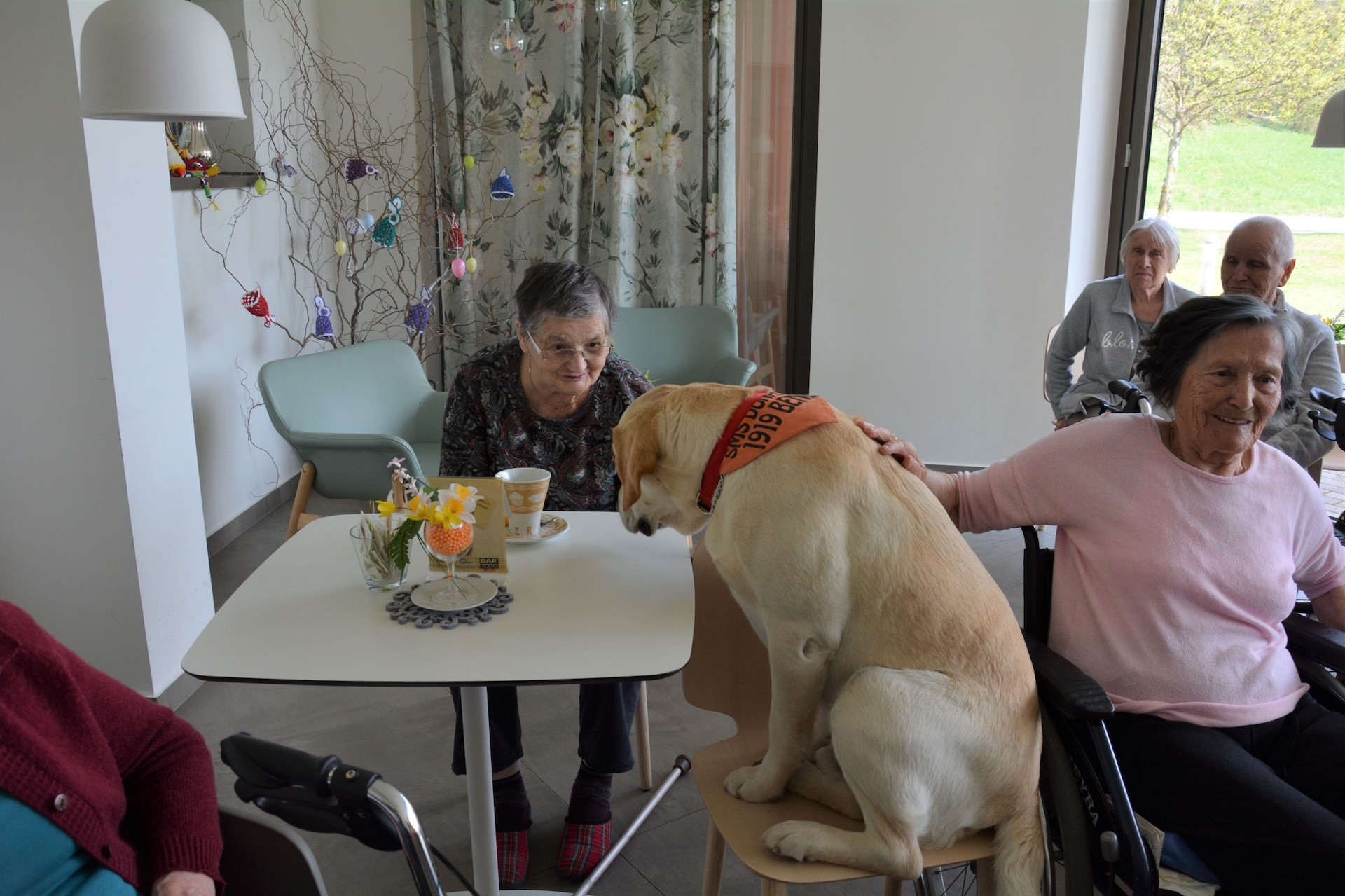 Društvo za zaščito živali Veles