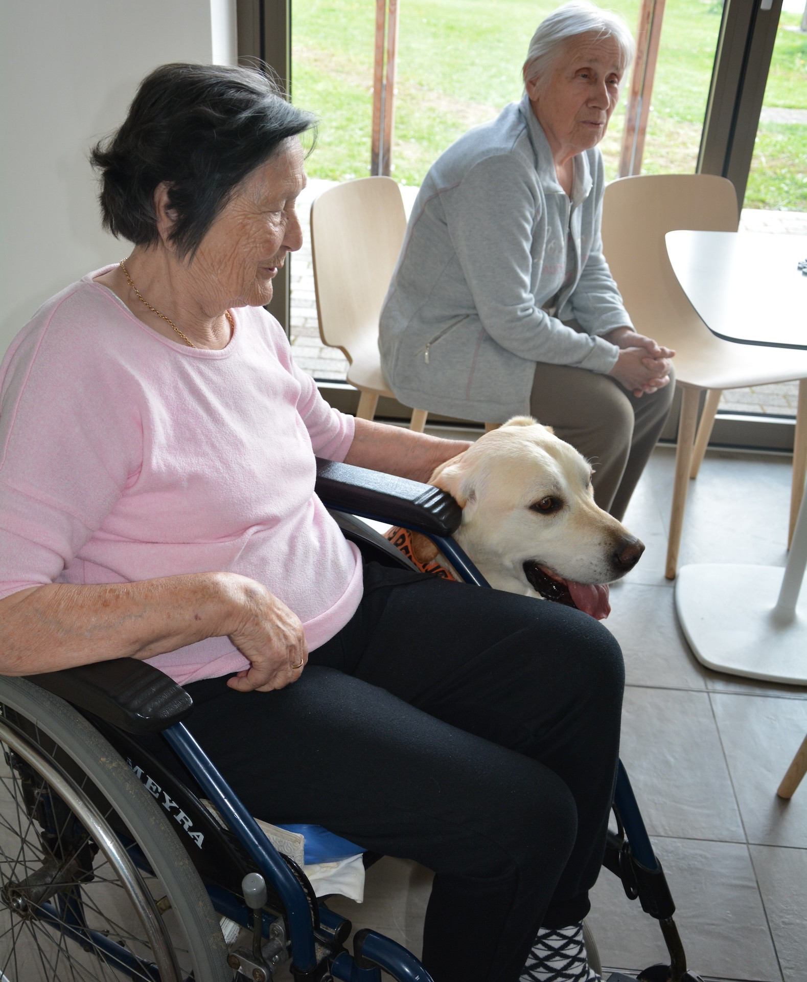 Društvo za zaščito živali Veles