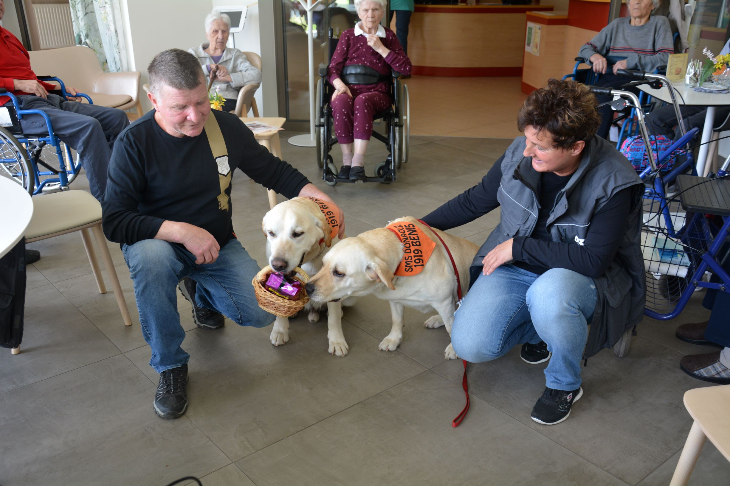 Društvo za zaščito živali Veles