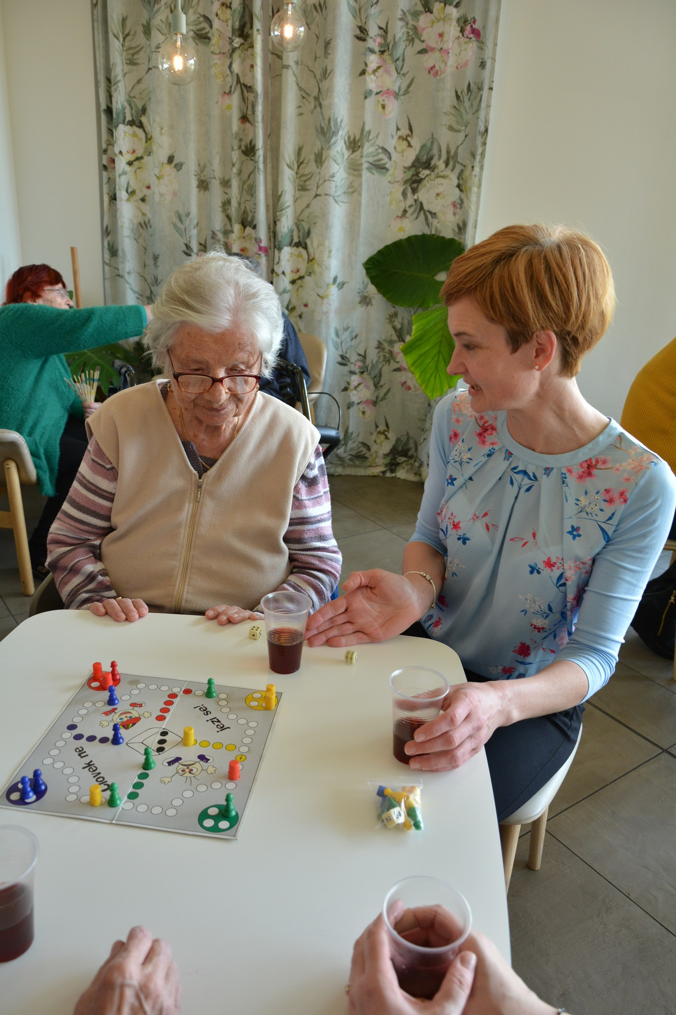 Druženje Pegazovih prijateljev