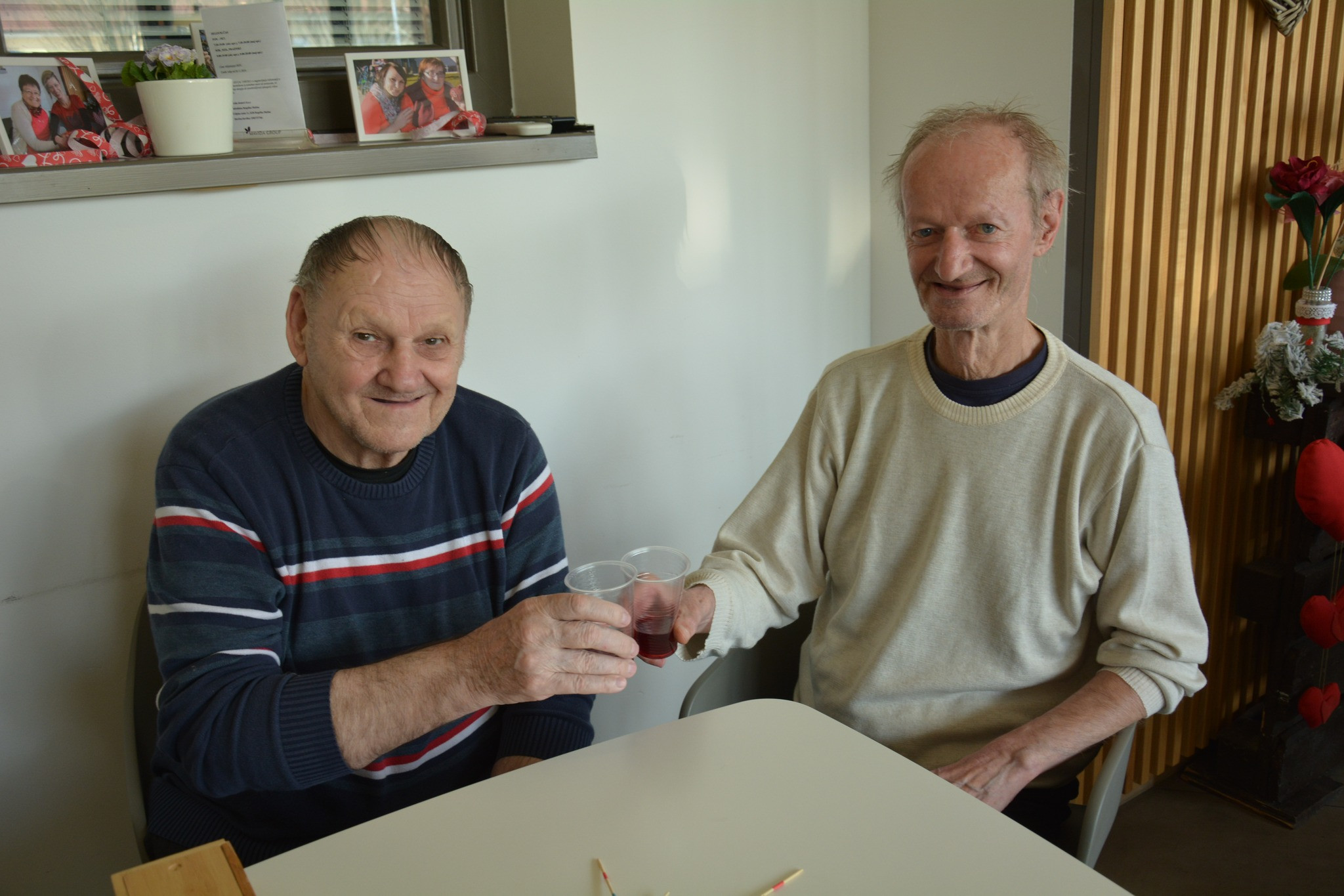 Druženje Pegazovih prijateljev