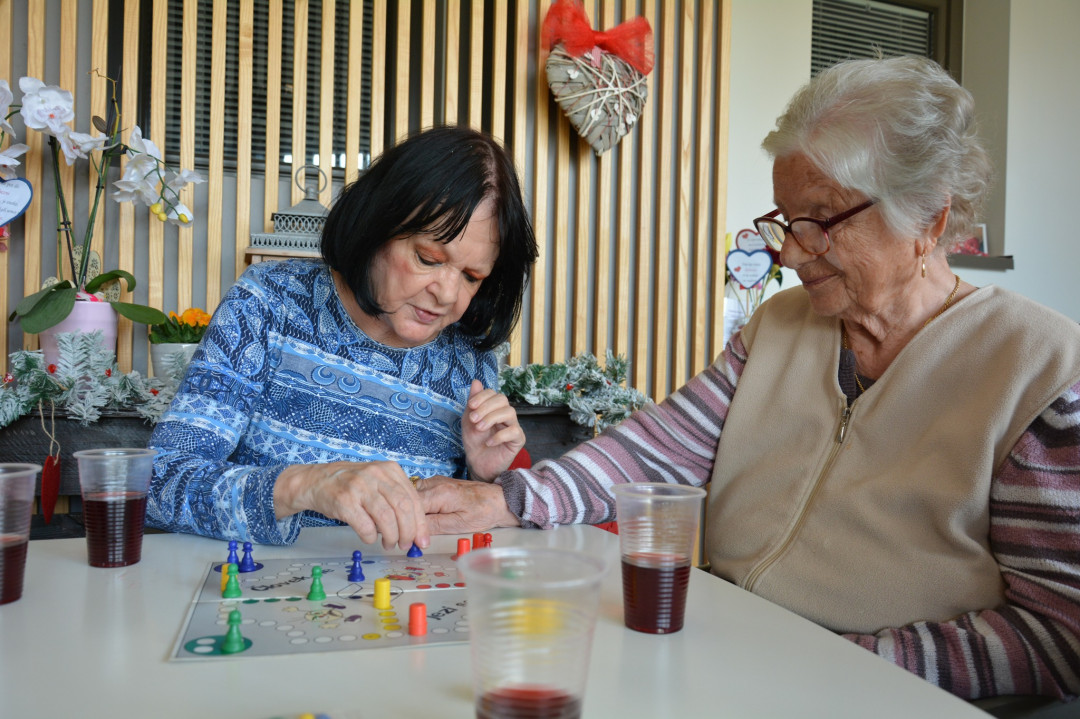 Druženje Pegazovih prijateljev