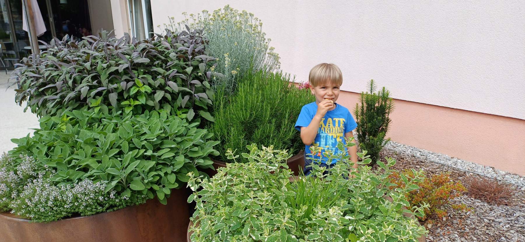 Druženje z otroki v zeliščnem parku