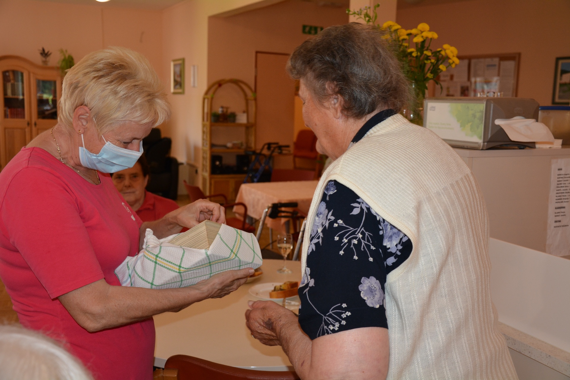 Gospodinja Vida praznuje