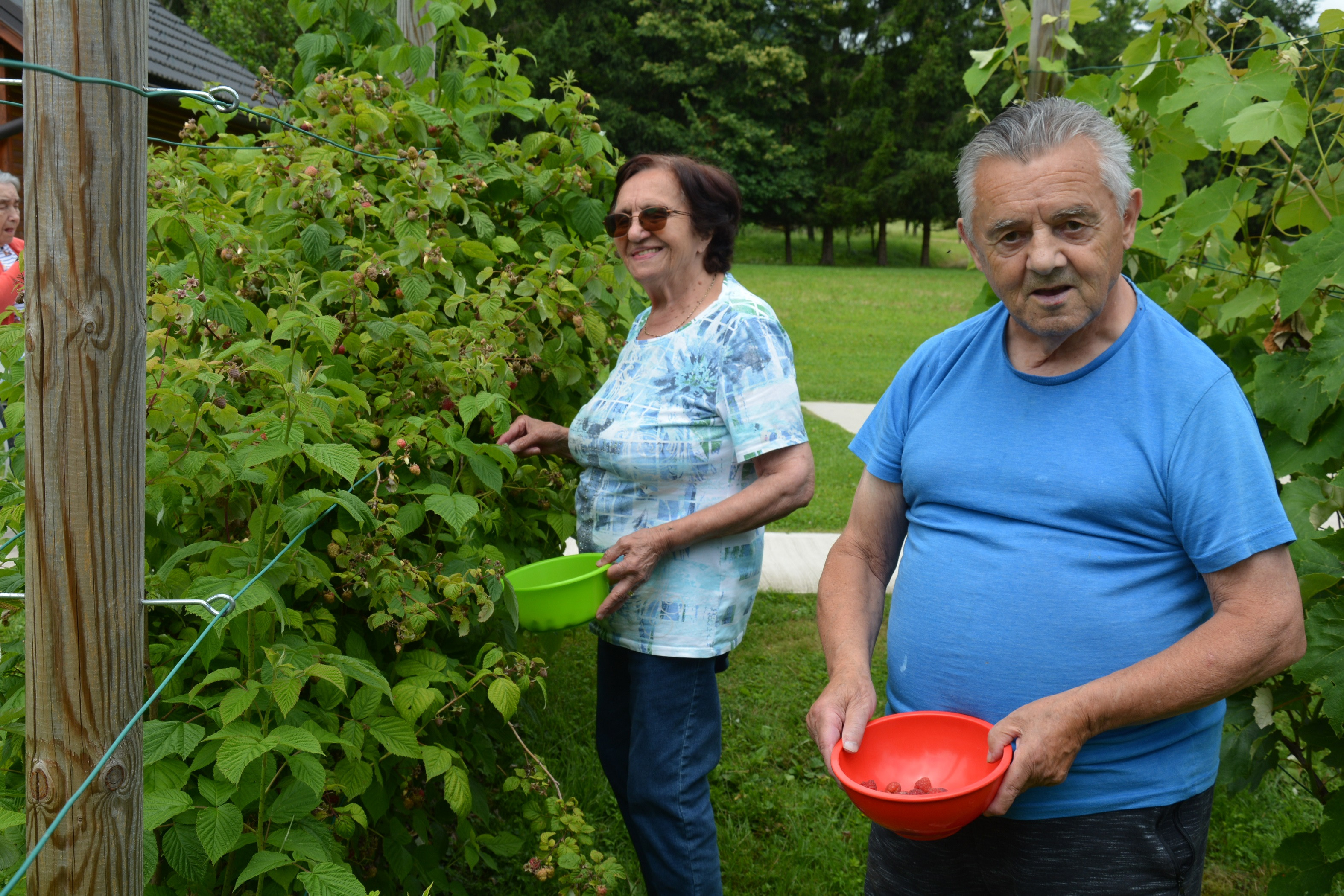 Gremo na češnje!!!