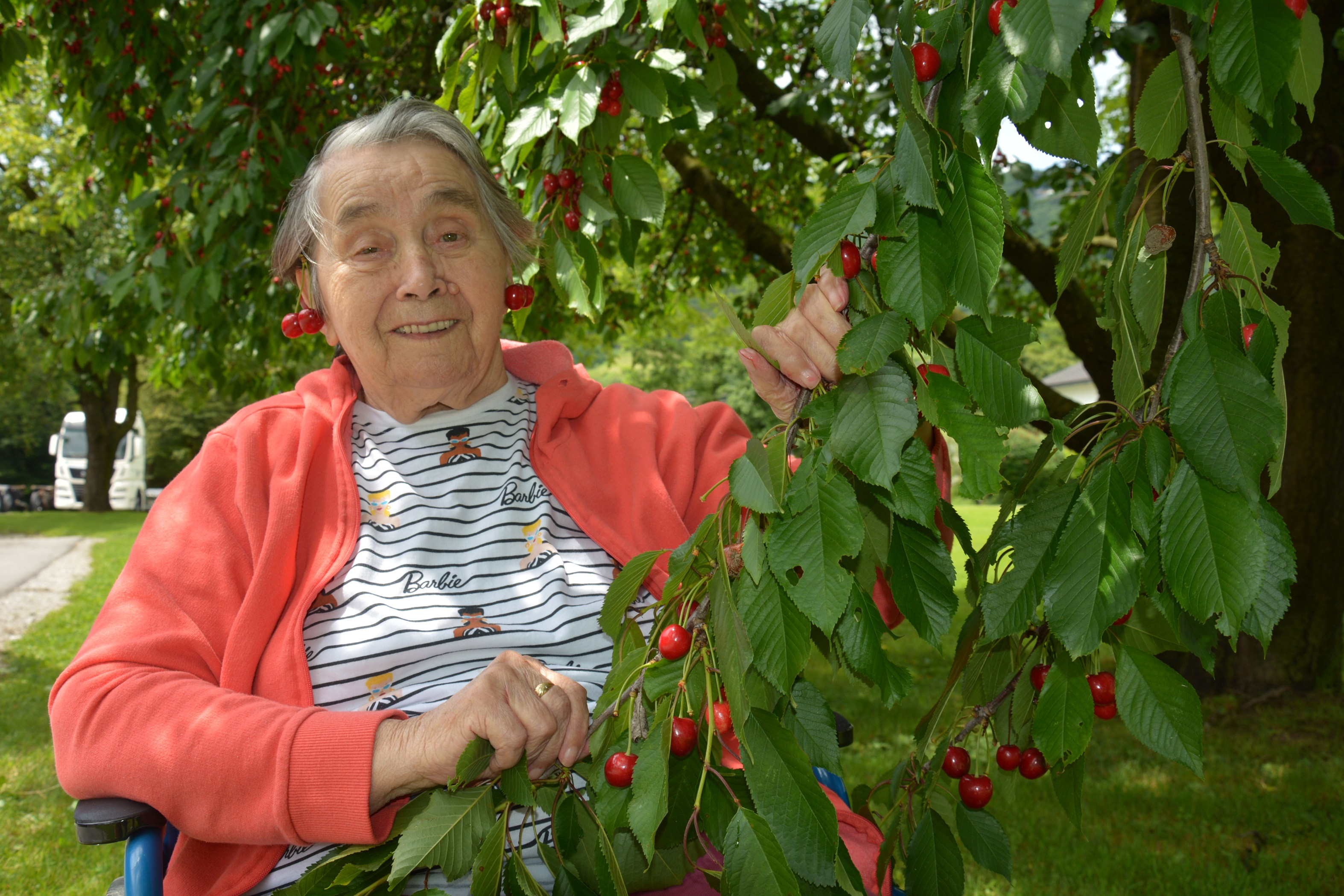 Gremo na češnje!!!