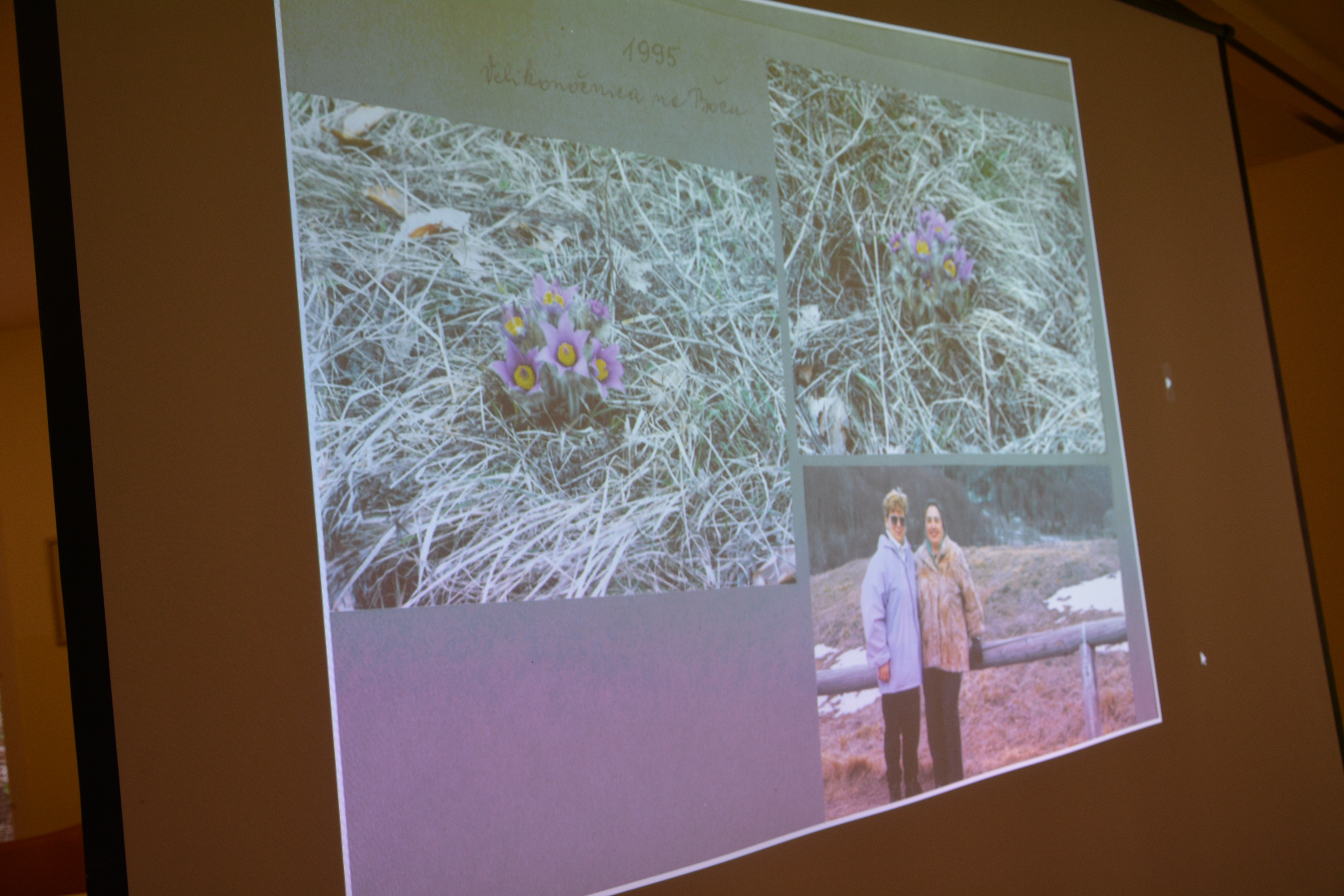Gremo v planine z dr. Jožetom Lipnikom