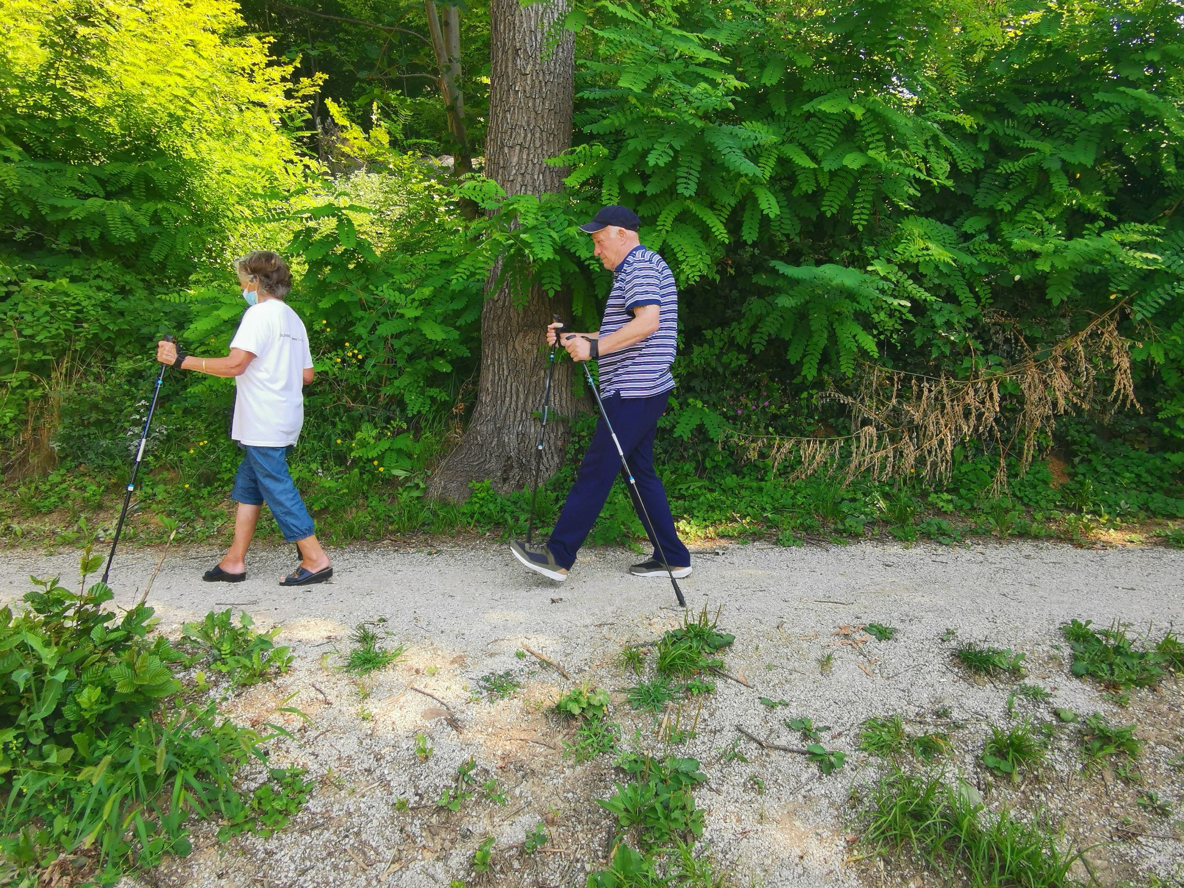Hoja s palicami do izvira vode
