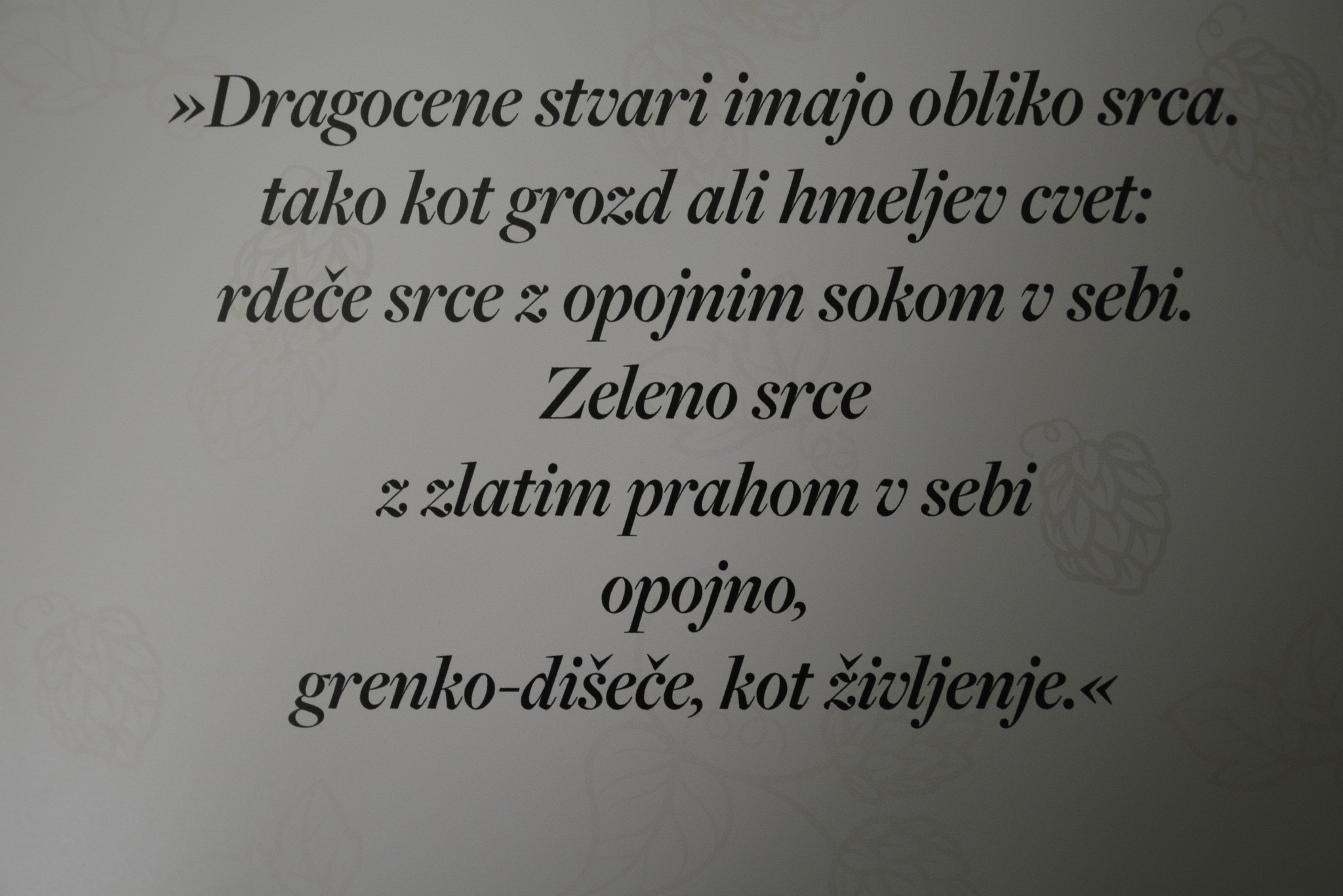 Izlet v Žalec