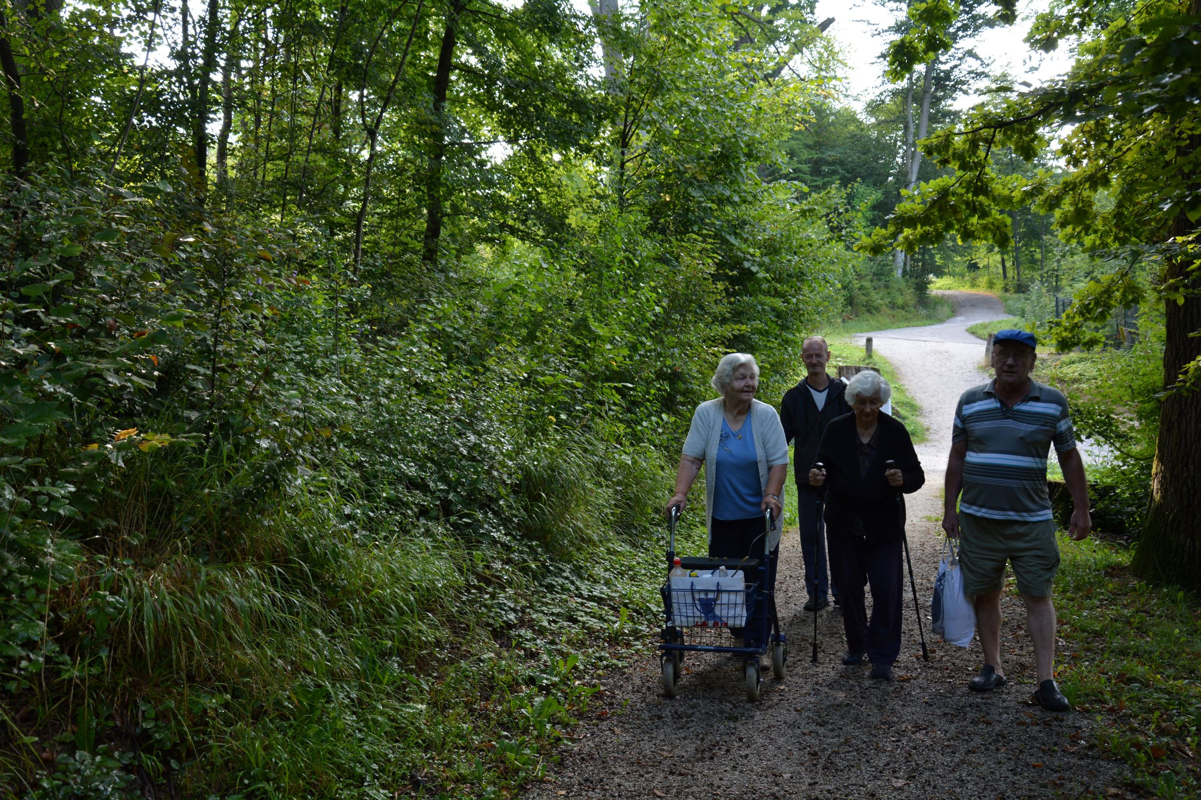 Izvirska voda in sprehod po gozdu