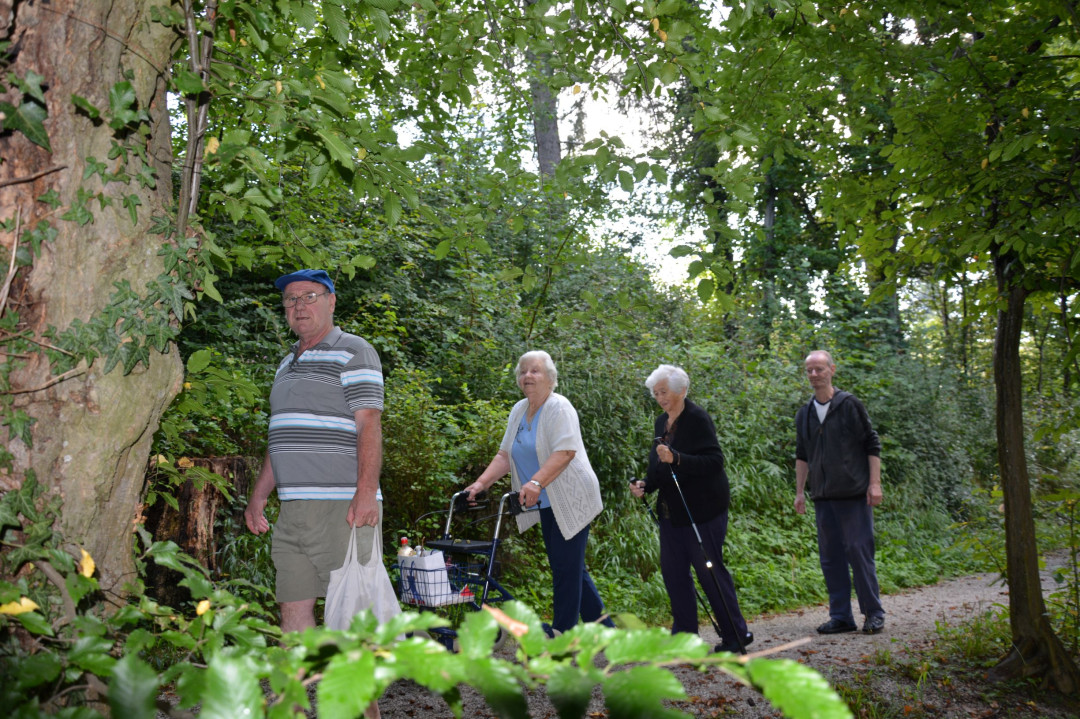 Izvirska voda in sprehod po gozdu