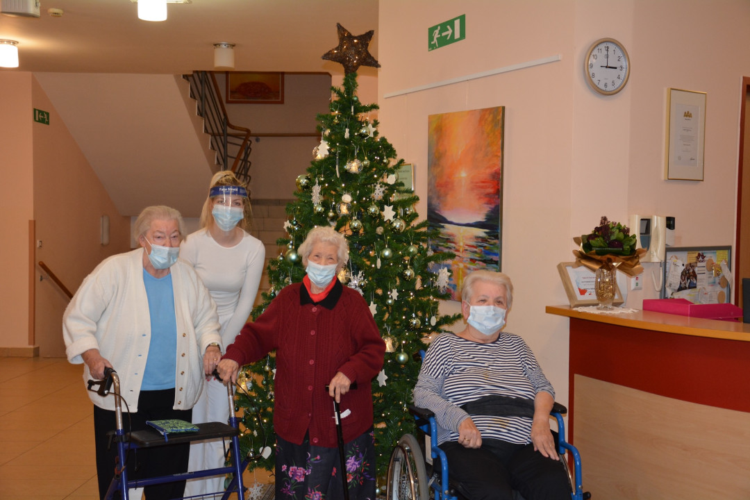 Jelka ob vhodu v Pegazov dom je okrašena