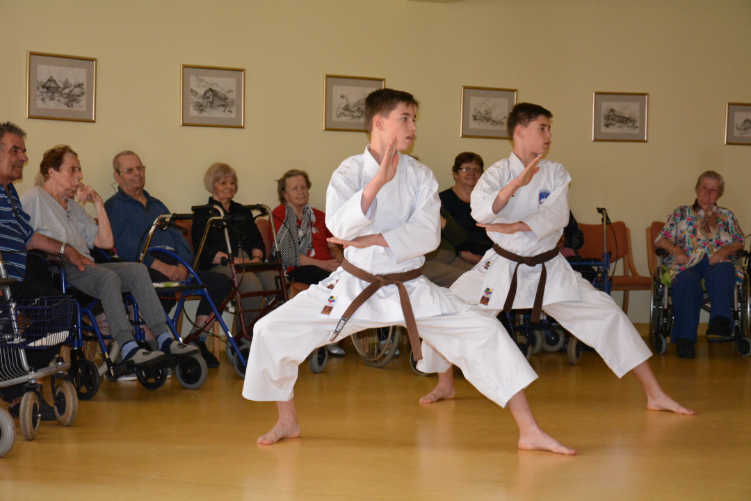 Karate in tamburica