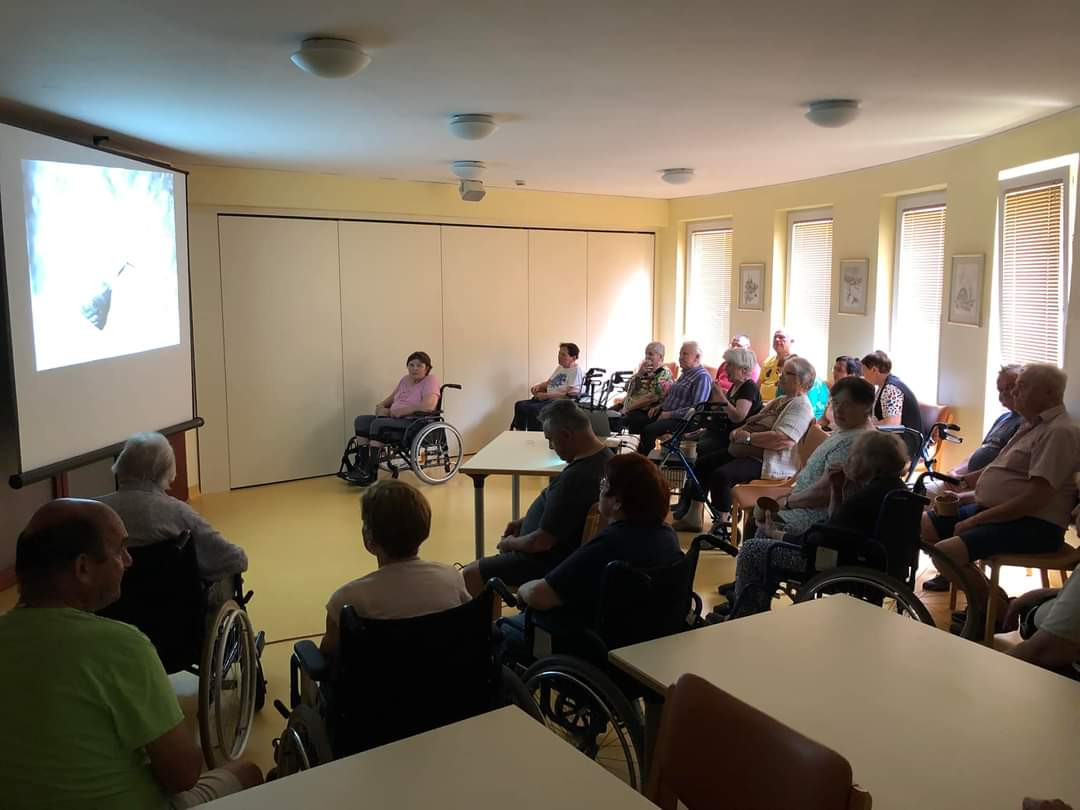 Kino v Pegazovem domu