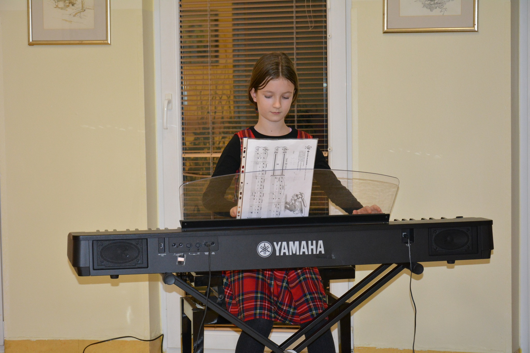 Koncert glasbene šole Rogaška Slatina