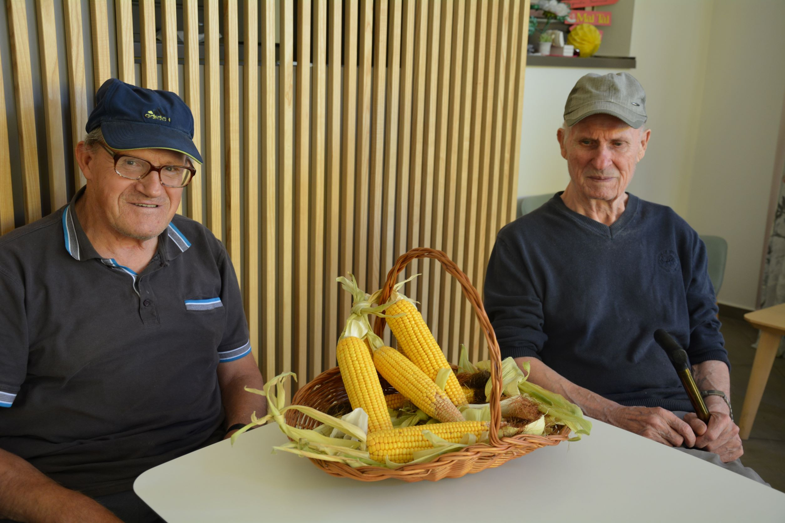 Koruza je priljubljena