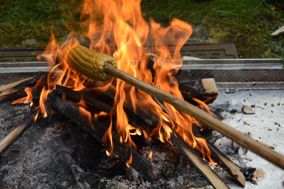 Koruza po pastirsko v dobri družbi
