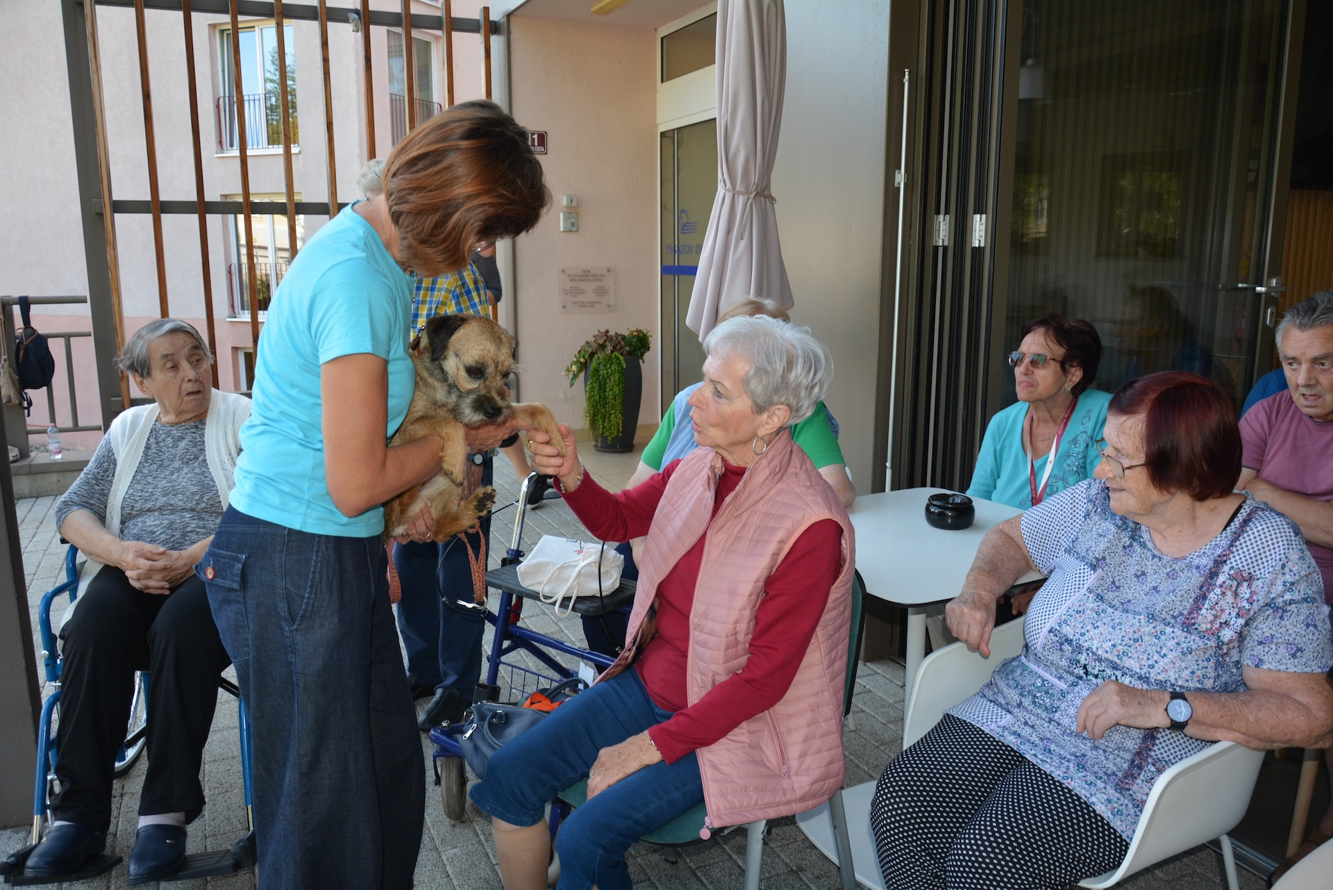 Kosmati smrčki za ljubitelje psov