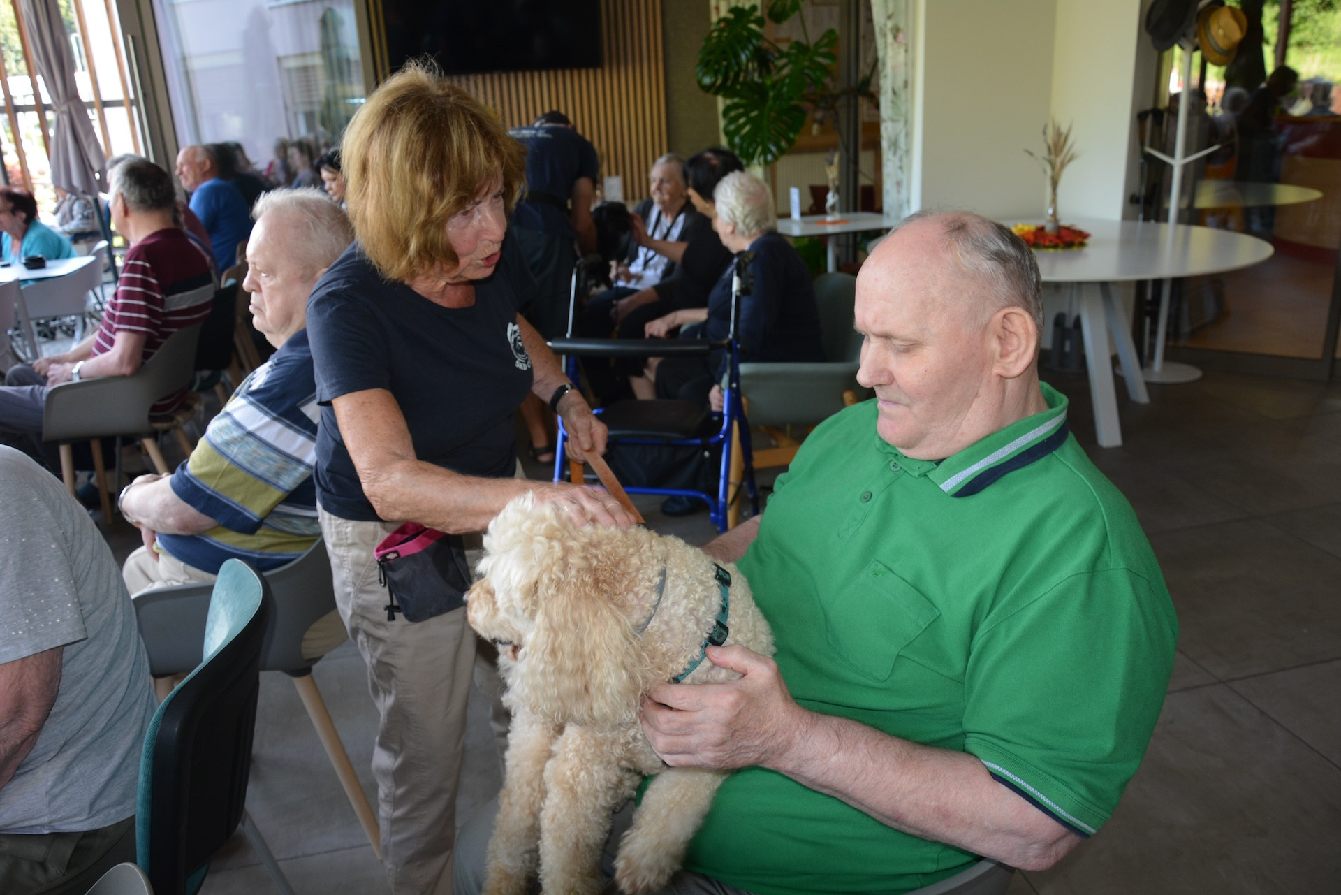 Kosmati smrčki za ljubitelje psov