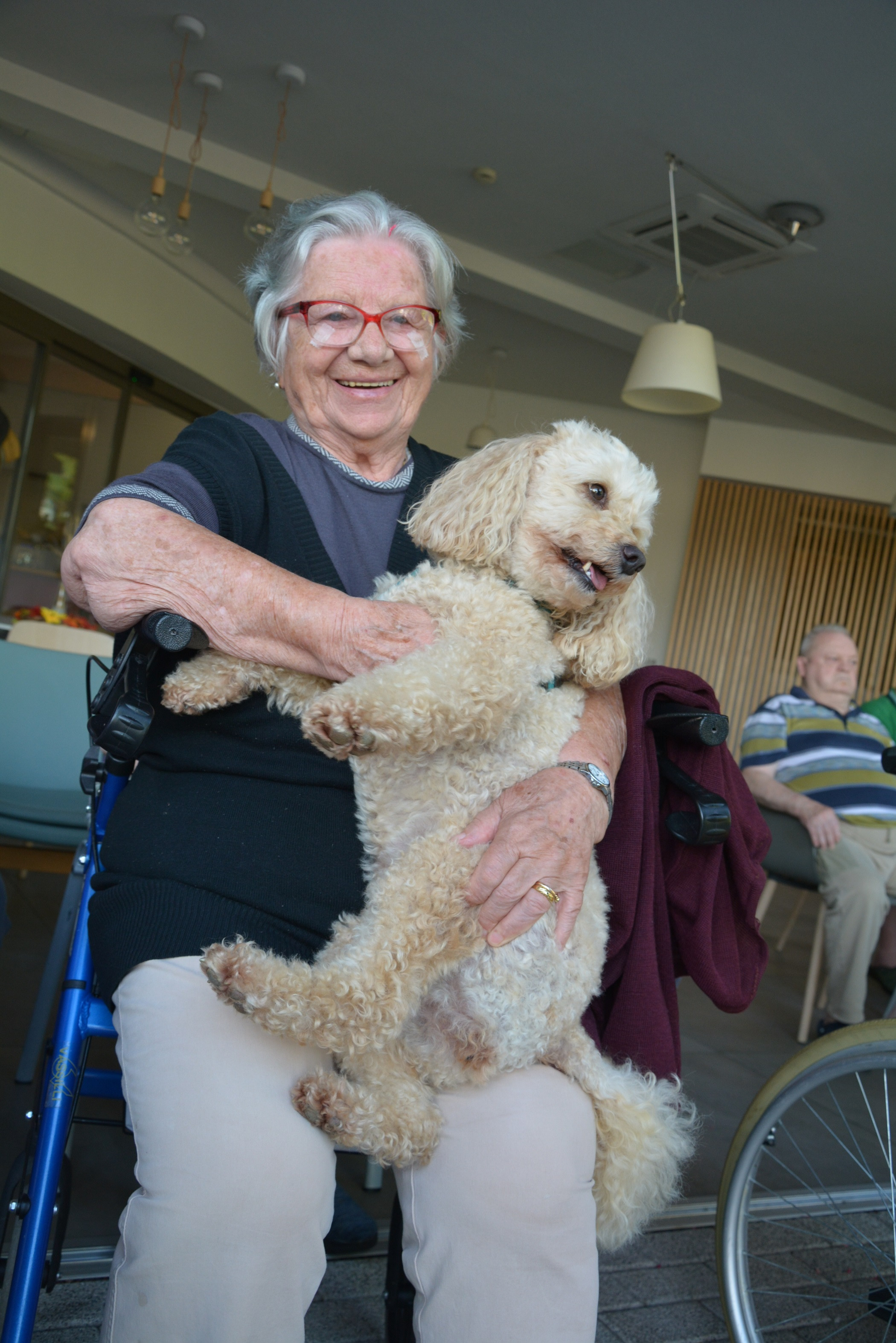 Kosmati smrčki za ljubitelje psov