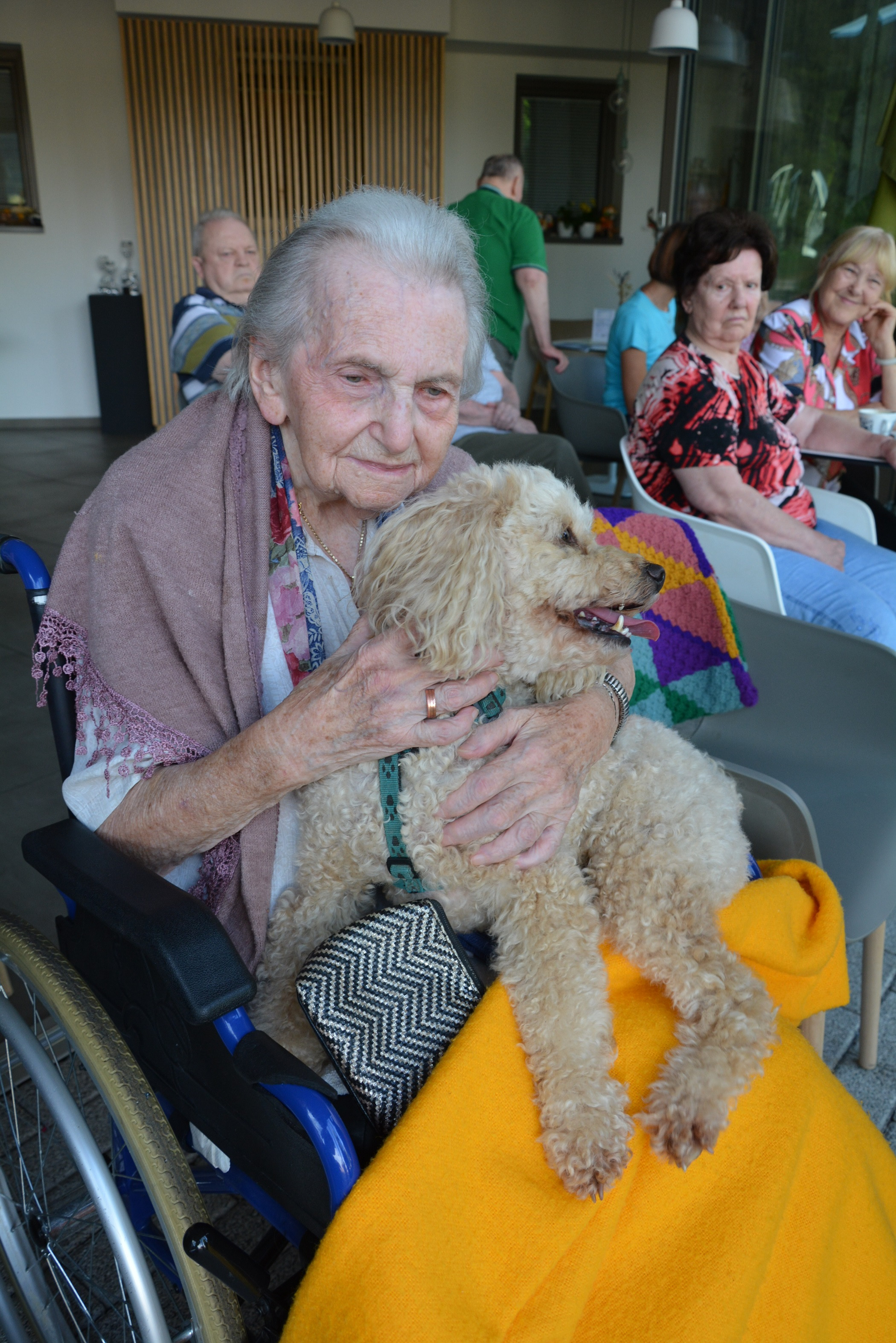 Kosmati smrčki za ljubitelje psov