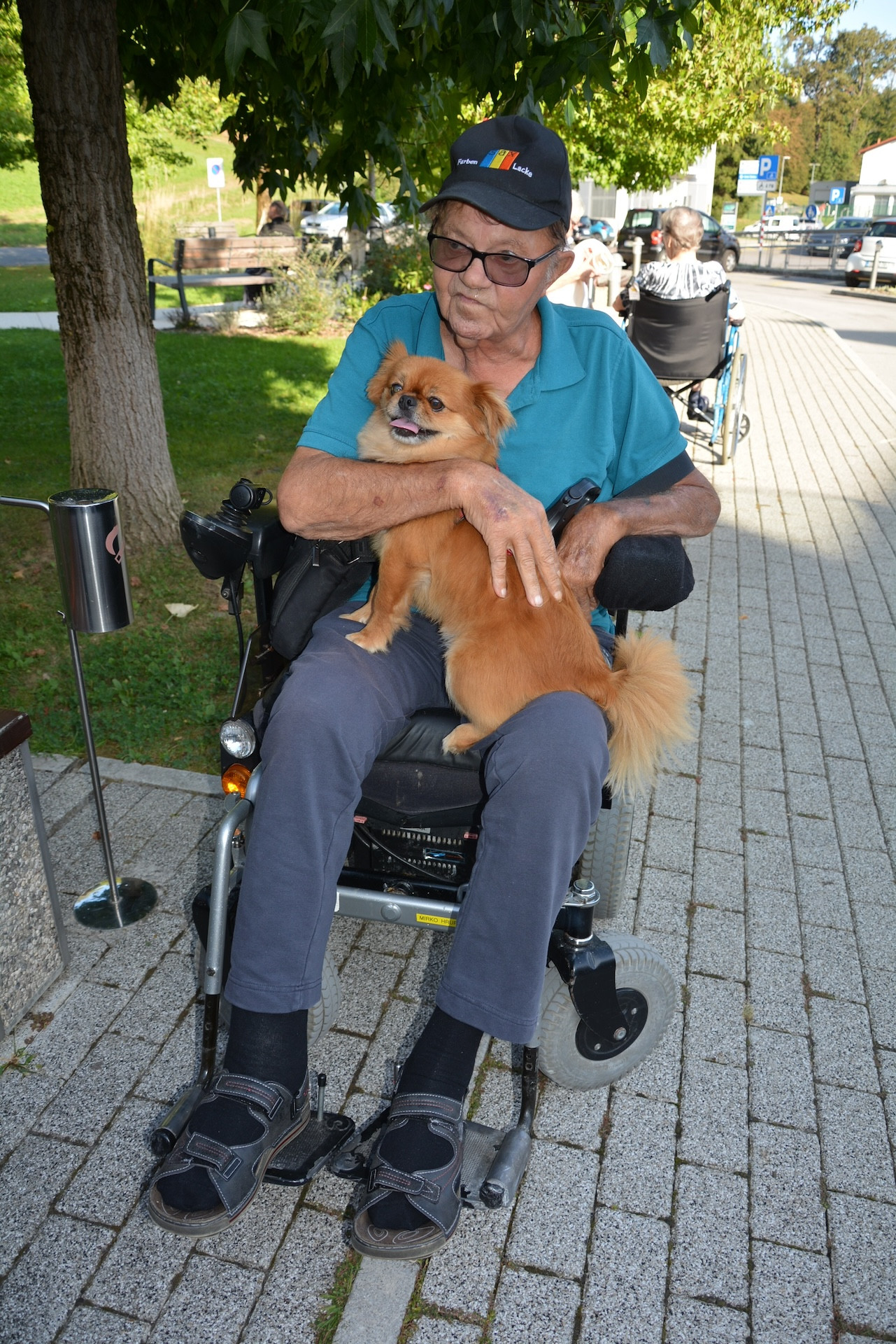 Kosmati smrčki za ljubitelje psov