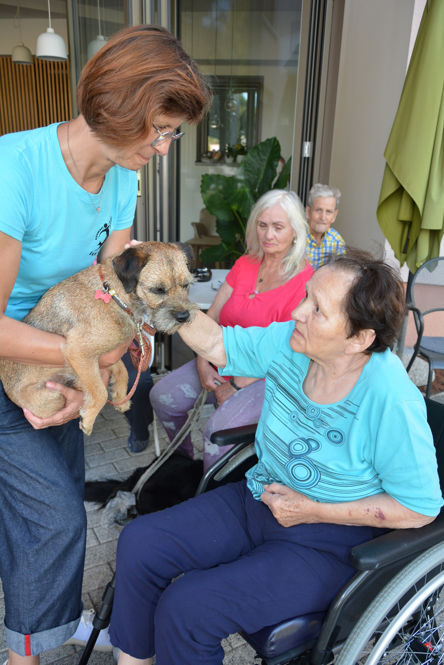 Kosmati smrčki za ljubitelje psov