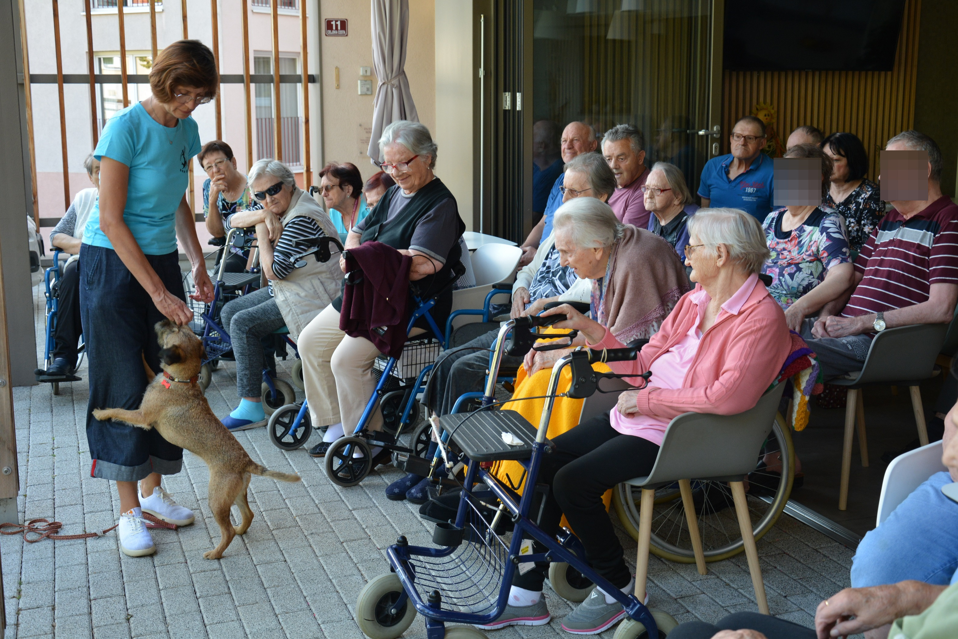 Kosmati smrčki za ljubitelje psov