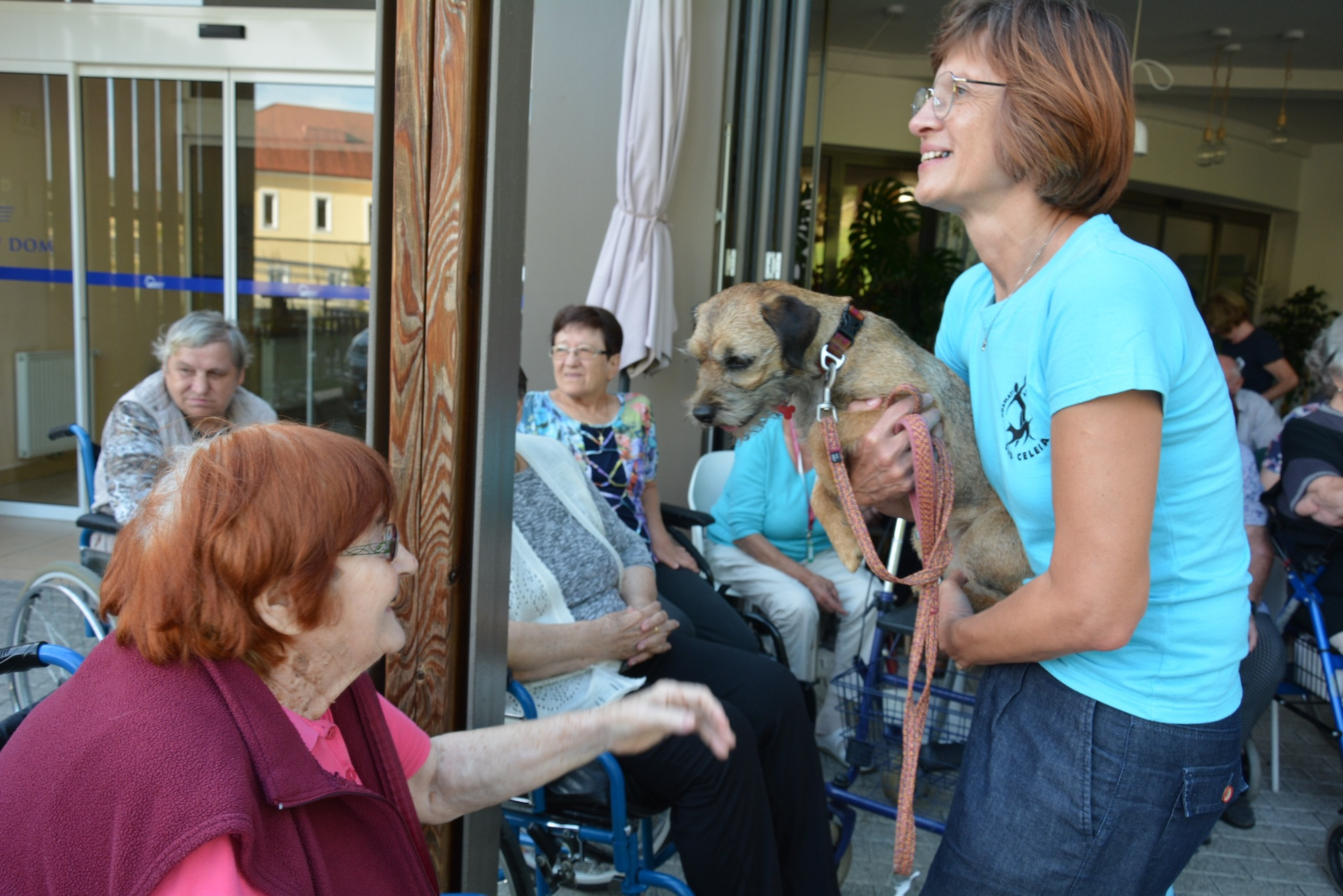 Kosmati smrčki za ljubitelje psov